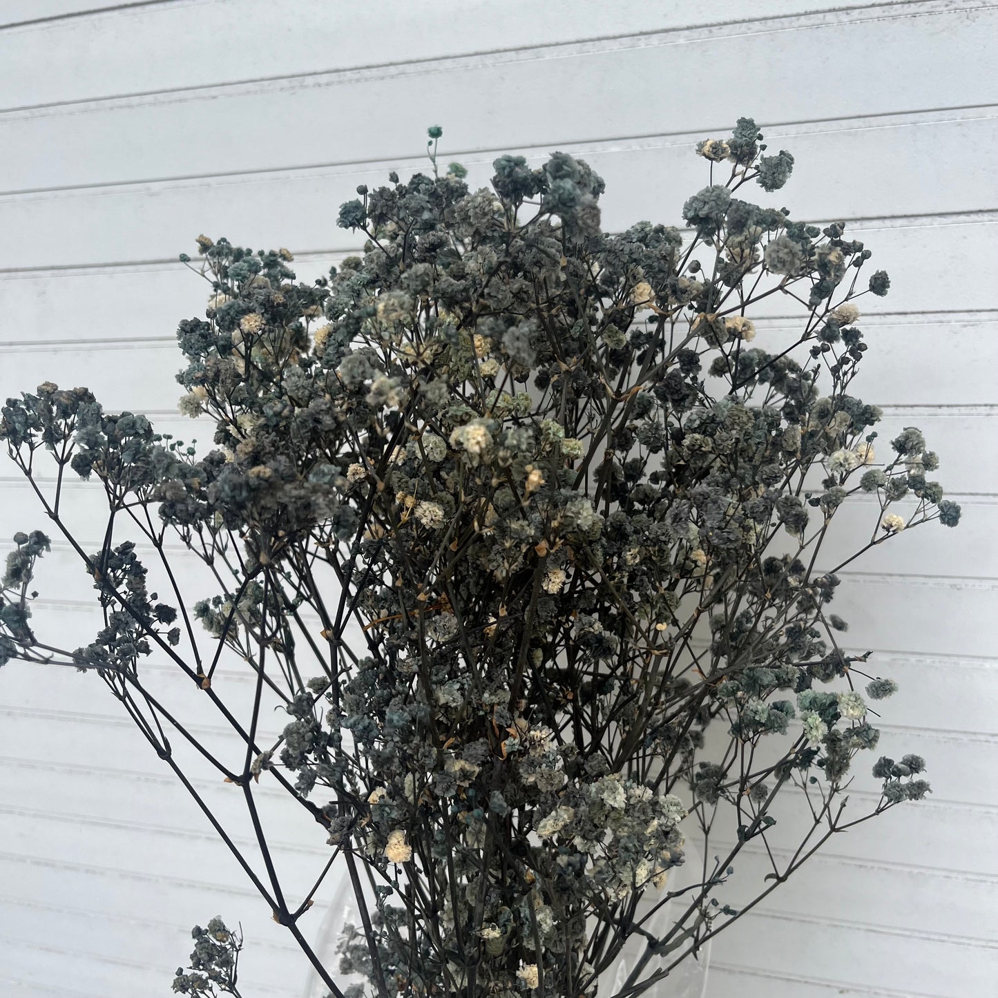 pf001S滿天星 夢幻星 永生花 小份量 捧花胸花 桌花花束 不凋花 手作DIY材料