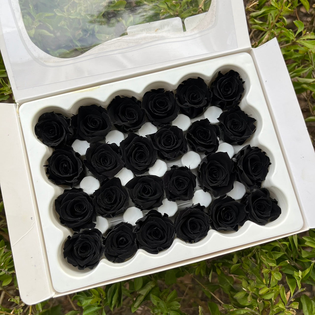 ***花大伯 R24 永生玫瑰 1.5~2cm玫瑰 A級 24朵裝 不凋花 小香風玫瑰 色彩款式齊全 莫蘭迪