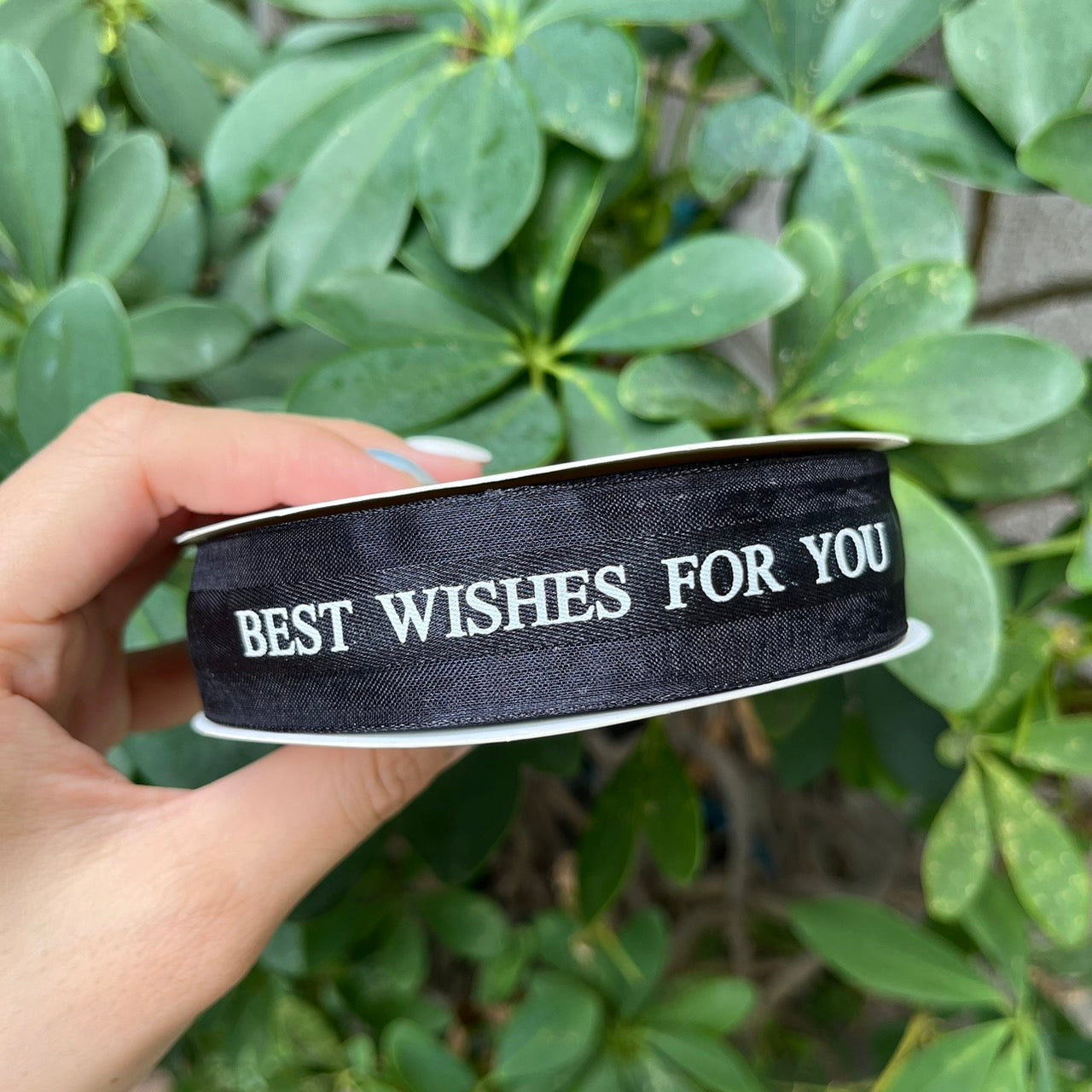 EP217緞帶(best wishes)2.5cm