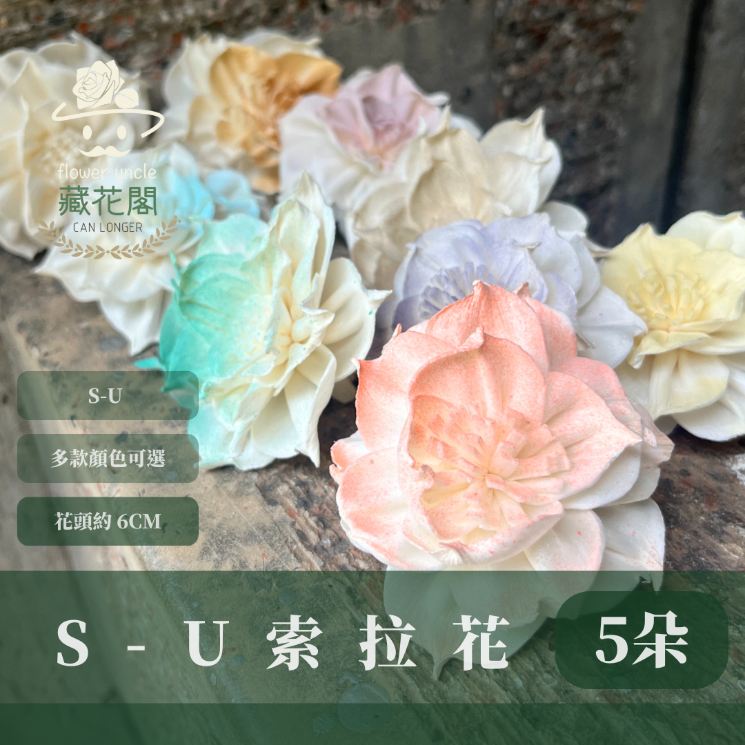 ✿ 台灣現貨 ✿ S-U 索拉花 6CM 通草花 擴香花