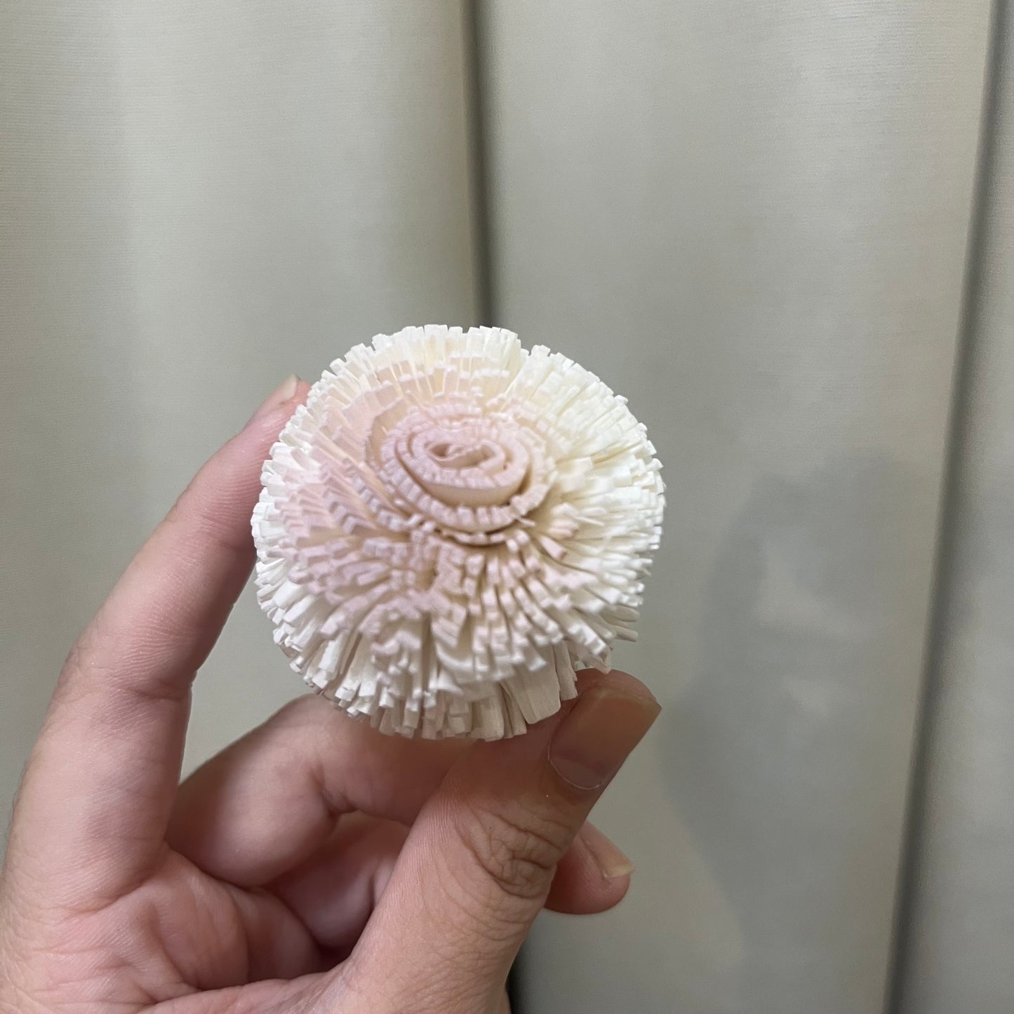 ✿ 台灣現貨 ✿ S-E 索拉花 5CM 通草花 擴香花 乒乓 乒乓球 乒乓菊 乒乓花型