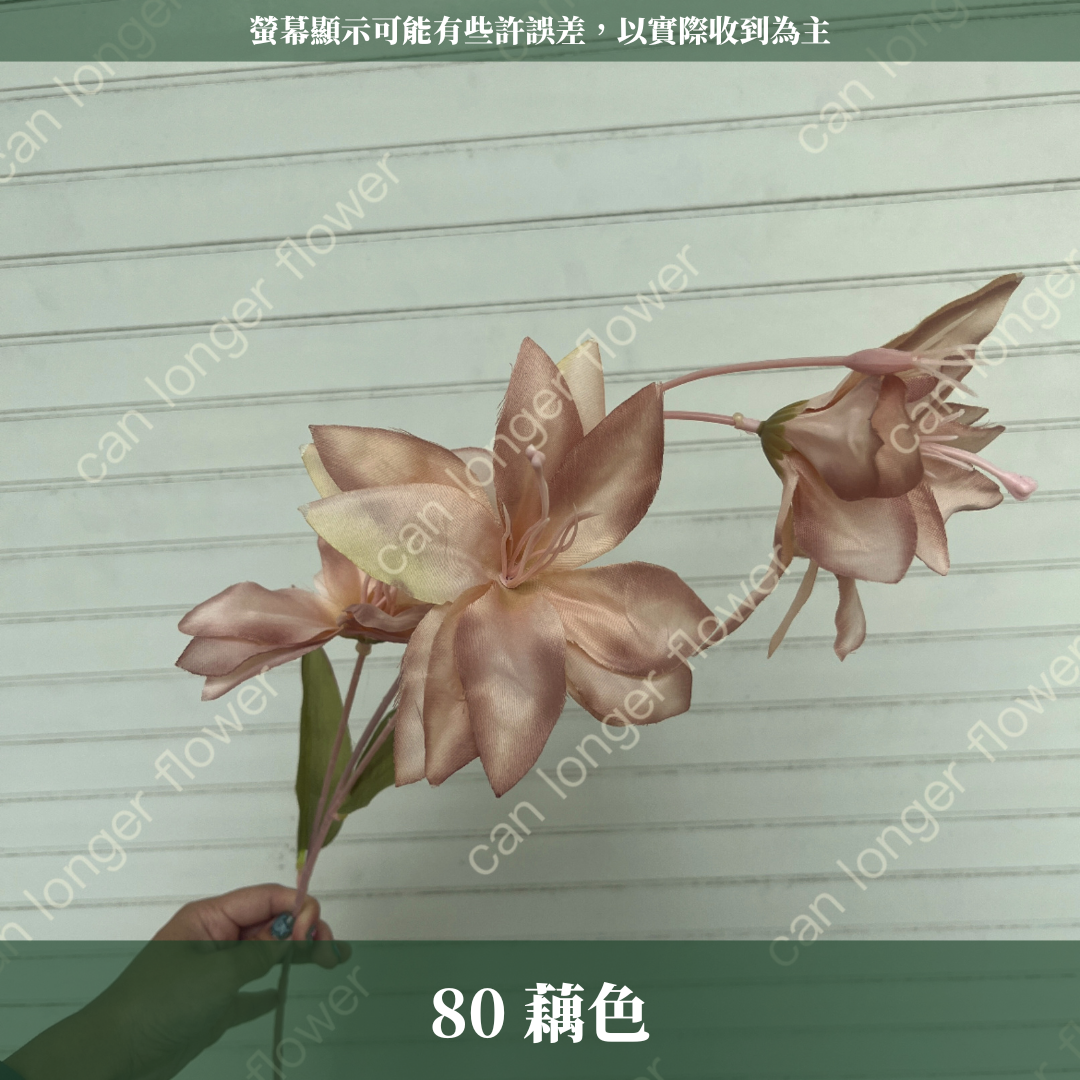 AF012 仿真小百合 3頭