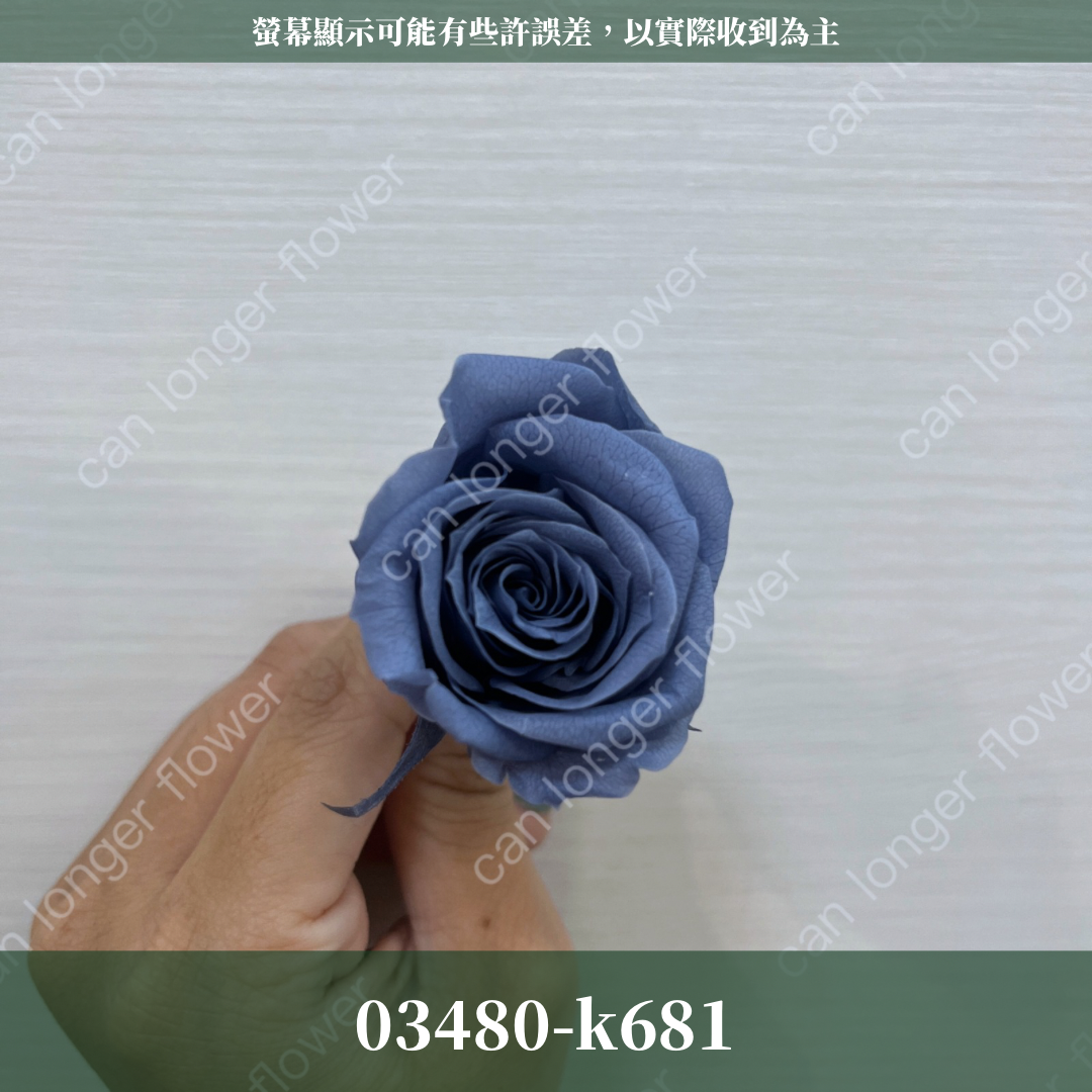 【台灣現貨】花大伯 03480 日本大地農園 中玫瑰 9朵裝 原裝 款式色彩齊全 永生玫瑰 不凋玫瑰