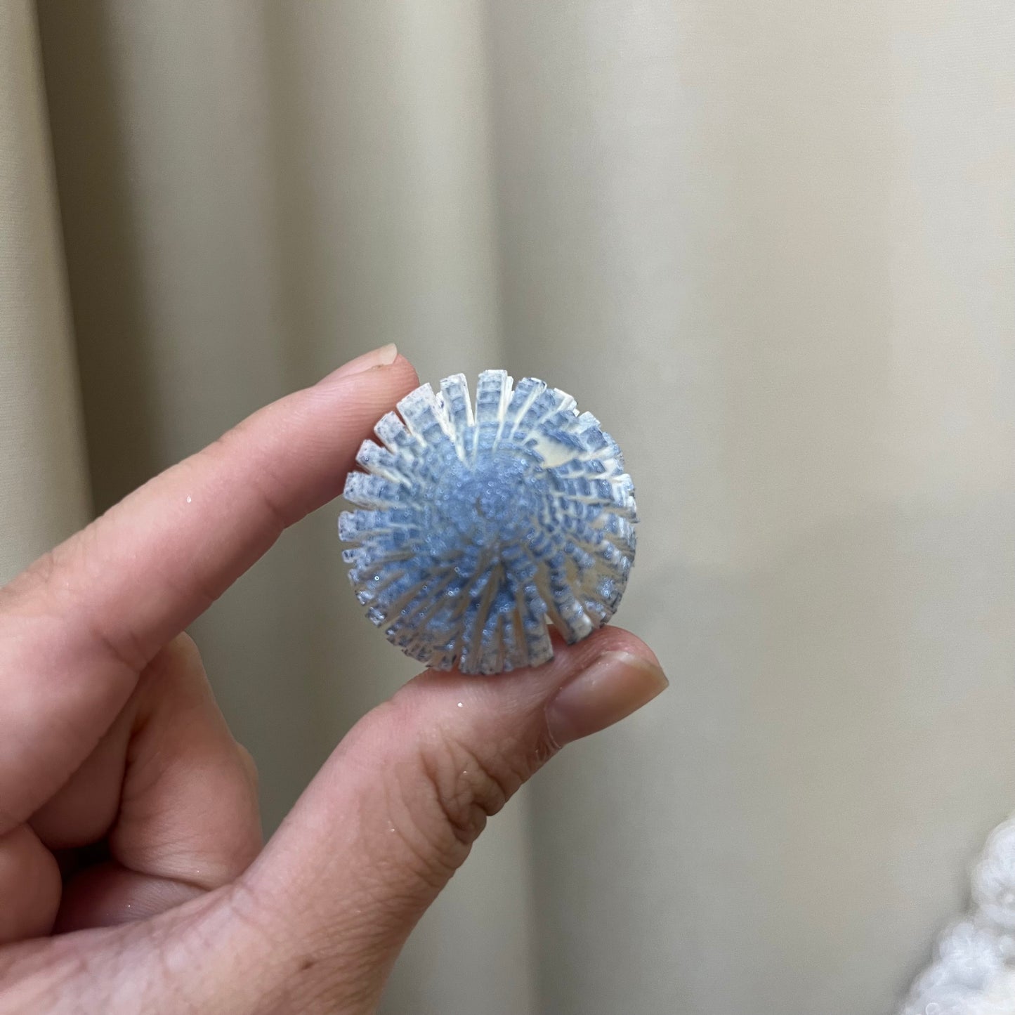 ✿ 台灣現貨 ✿ S-A 索拉花 3CM 通草花 擴香花 3CM 乒乓菊 小菊