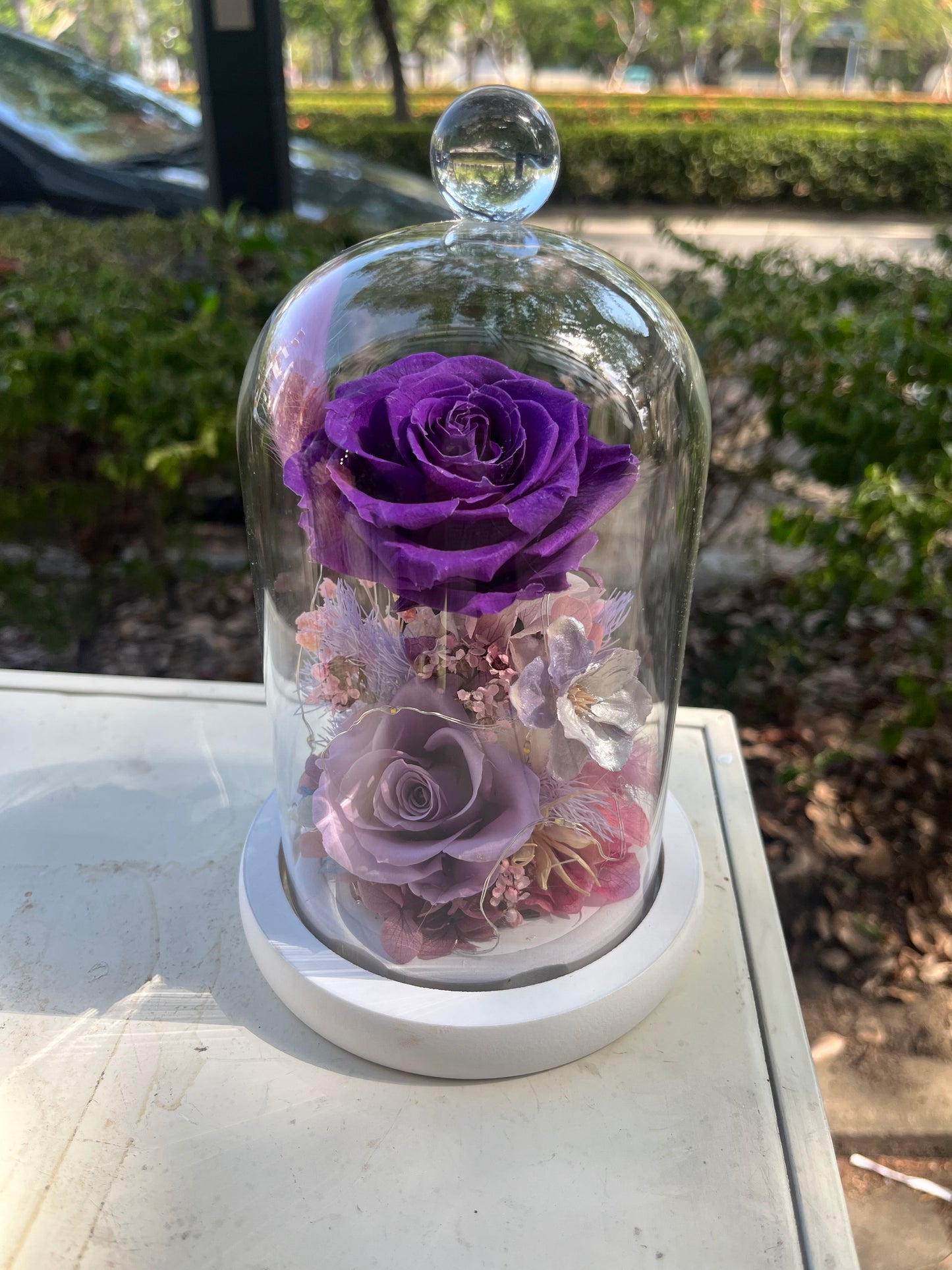 gift-g060永生花罩盅M(帶燈)