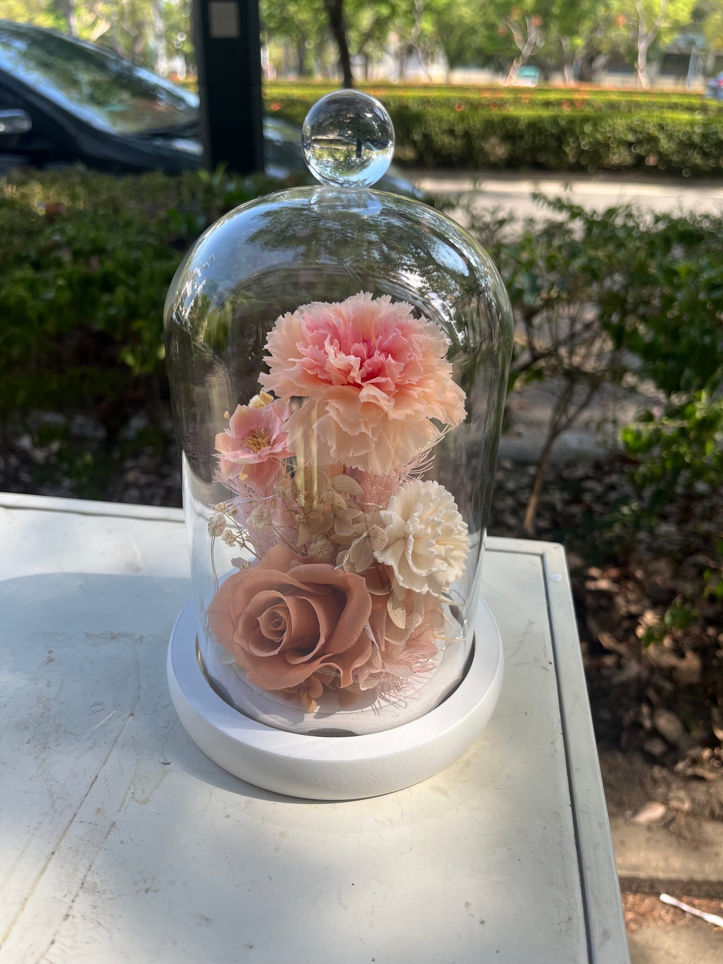 gift-g061永生花罩盅M(帶燈)