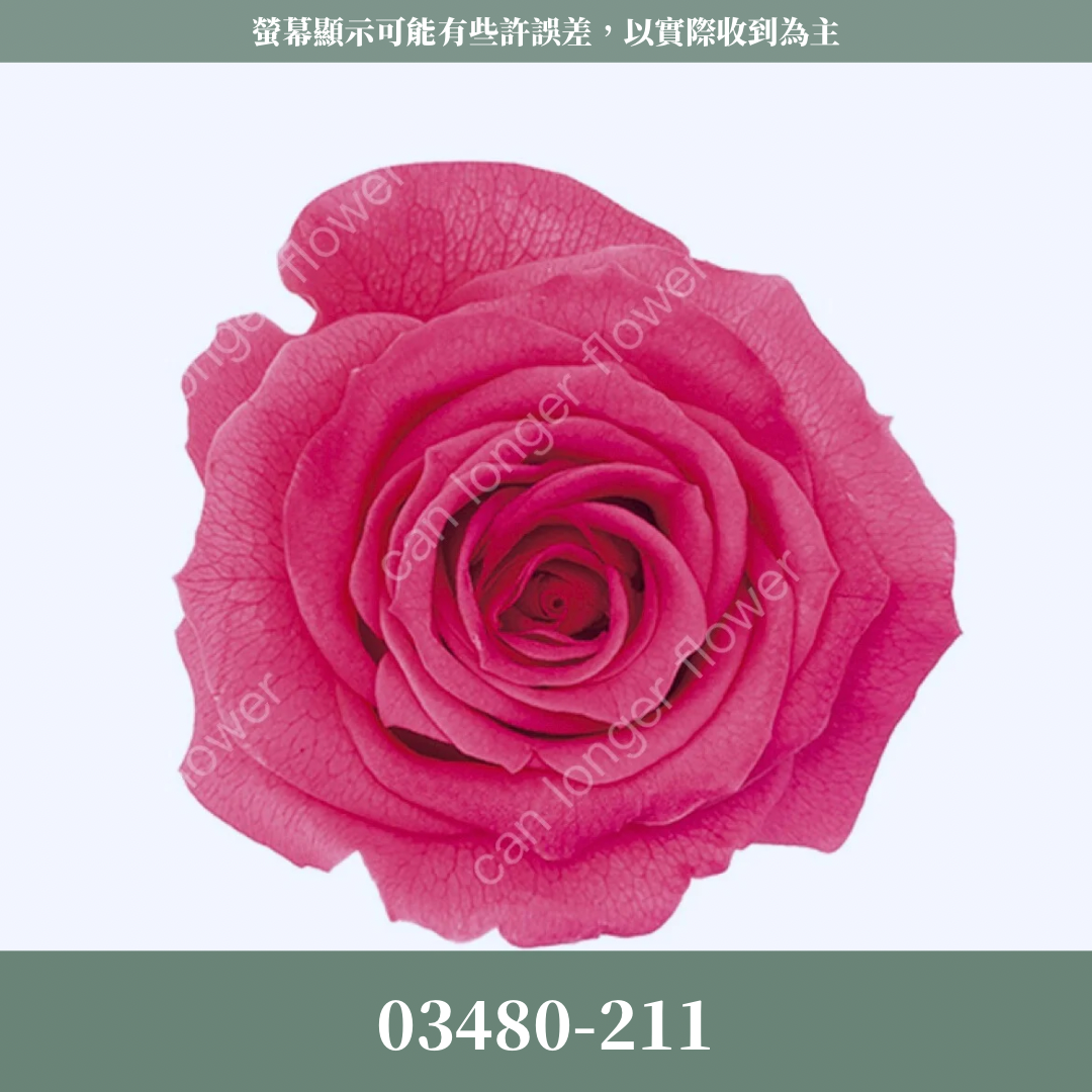 【台灣現貨】花大伯 03480 日本大地農園 中玫瑰 9朵裝 原裝 款式色彩齊全 永生玫瑰 不凋玫瑰