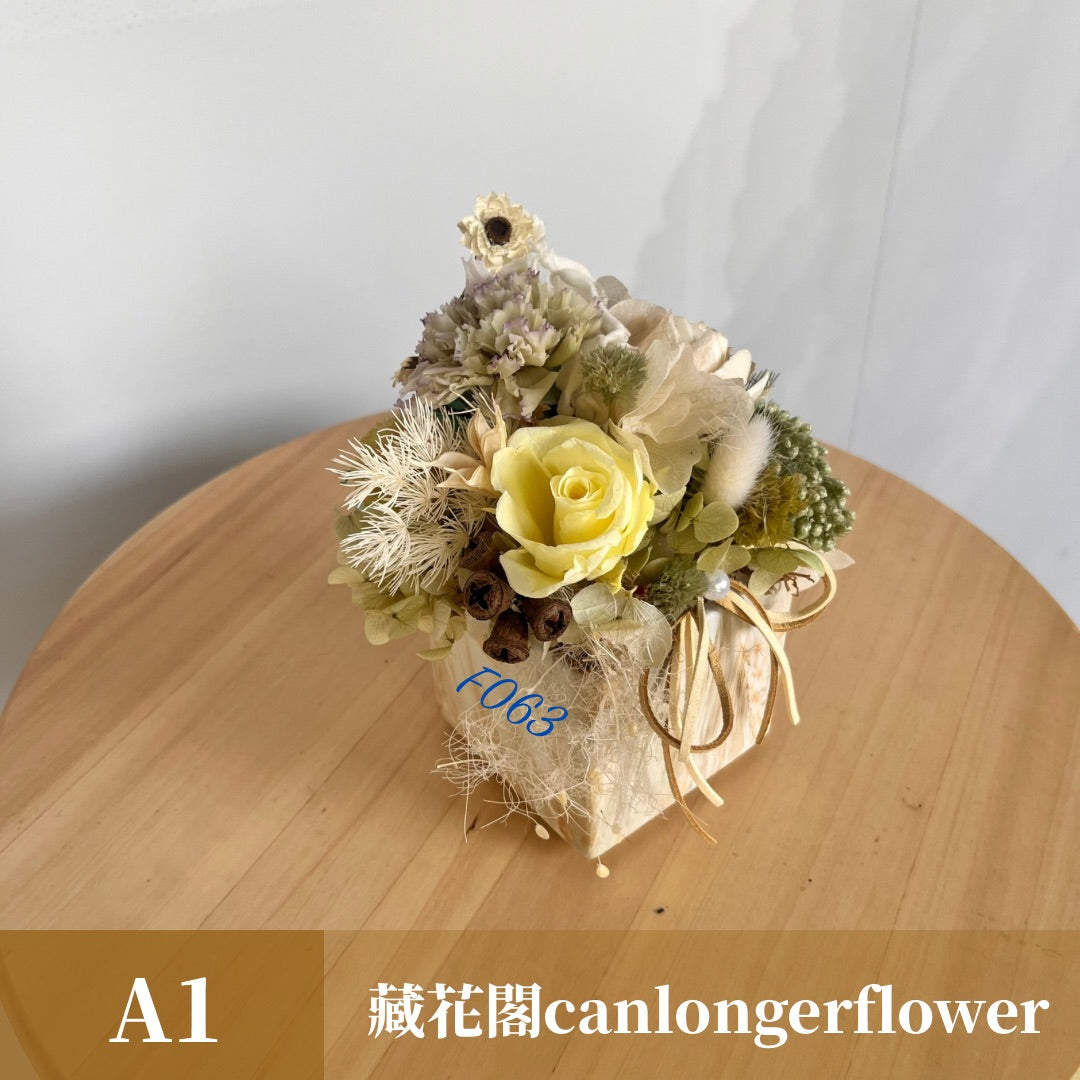 Gift-f063 黃綠色系盆花 綠色 黃色 盆花 開幕 送禮 慶賀