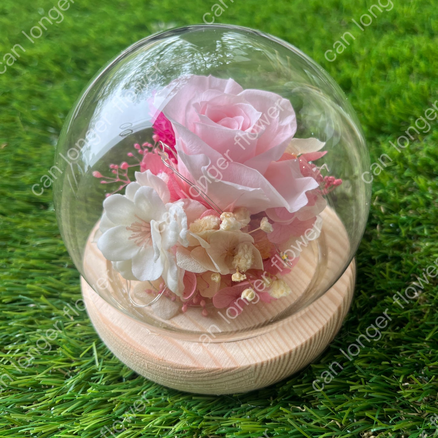 gift-g050永生花罩盅xs(帶燈)