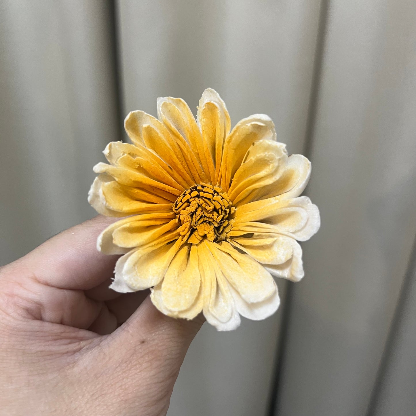 ✿ 台灣現貨 ✿ S-I 索拉花 6CM 通草花 擴香花 太陽菊 非洲太陽