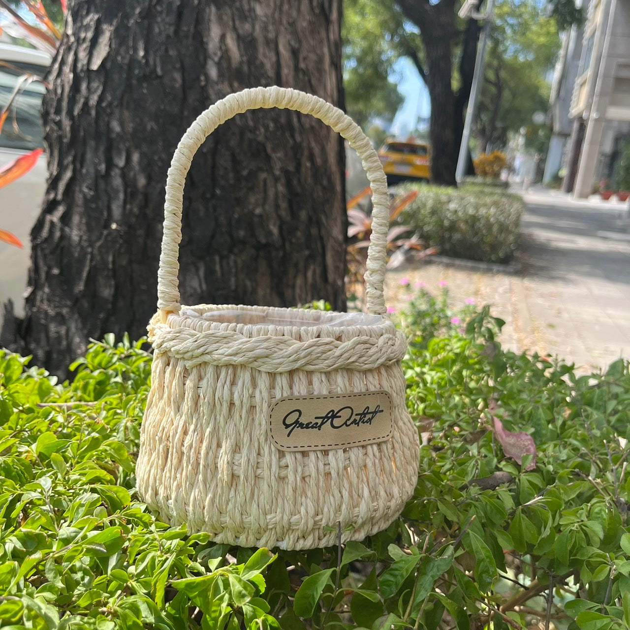 CW001小白提籃
