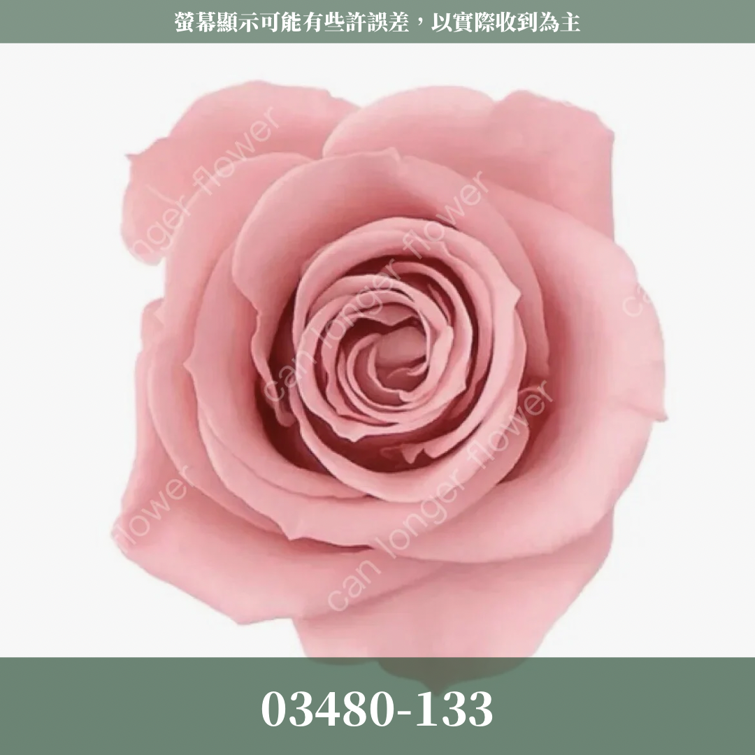 【台灣現貨】花大伯 03480 日本大地農園 中玫瑰 9朵裝 原裝 款式色彩齊全 永生玫瑰 不凋玫瑰