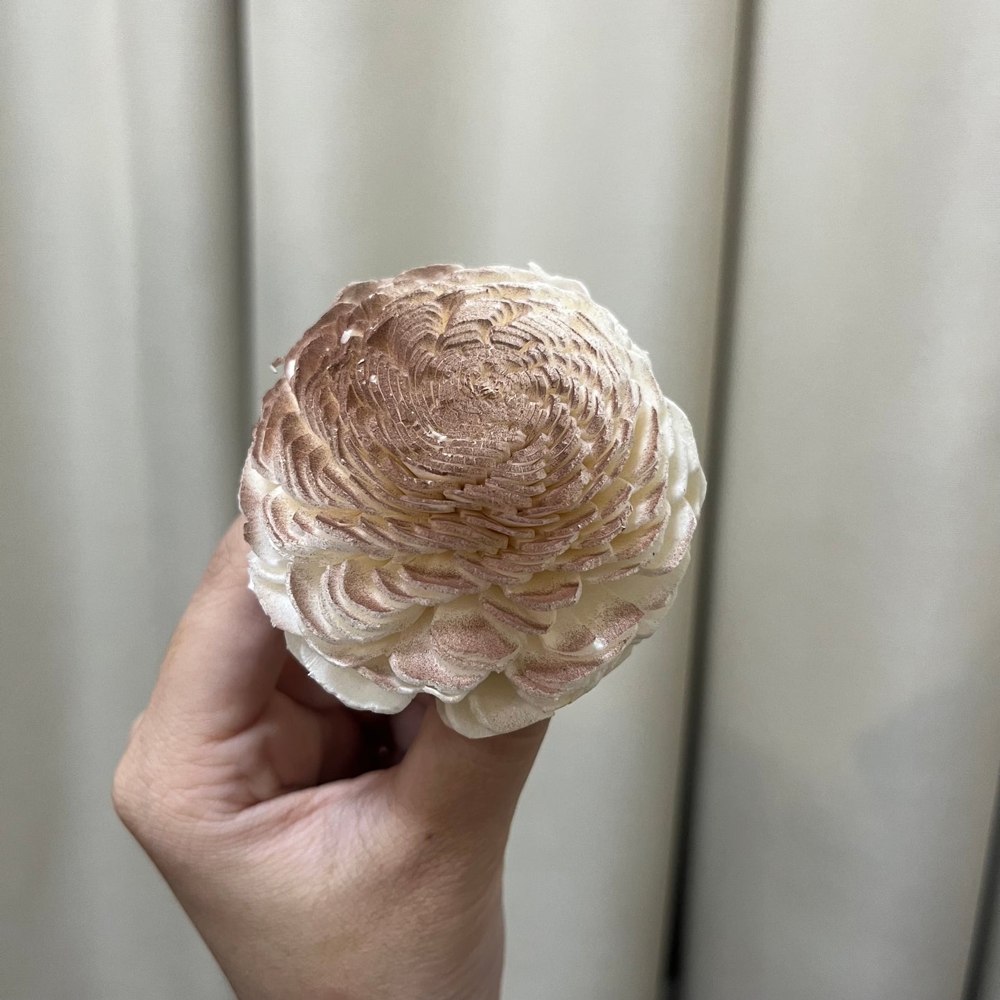 ✿ 台灣現貨 ✿ S-C 索拉花 6CM 通草花 擴香花 太陽玫瑰 日本大地 太陽菊