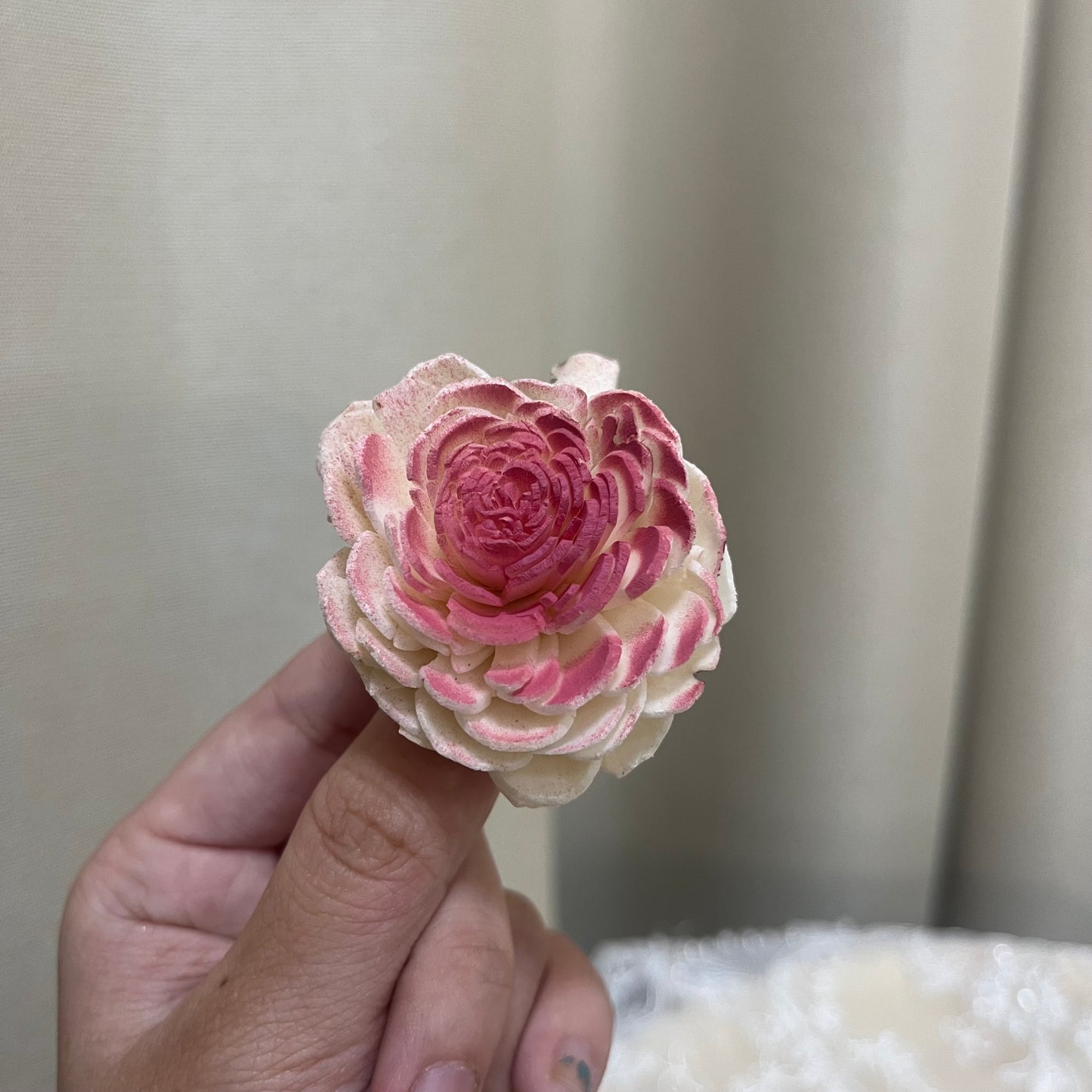 ✿ 台灣現貨 ✿ S-b 索拉花 4CM 通草花 擴香花 太陽玫瑰 日本大地 太陽菊