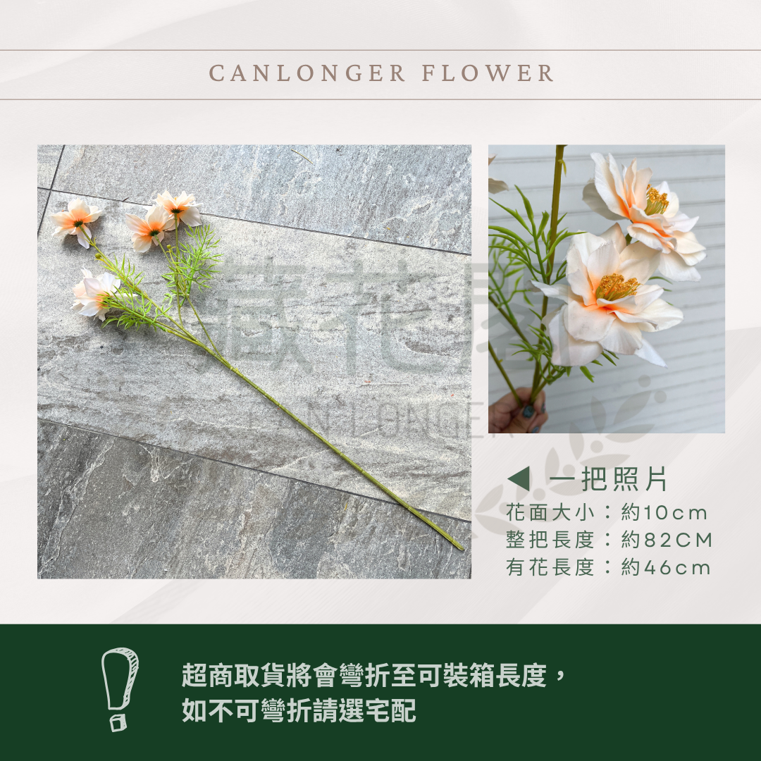 AF024 仿真黑種草(5頭) 仿真花