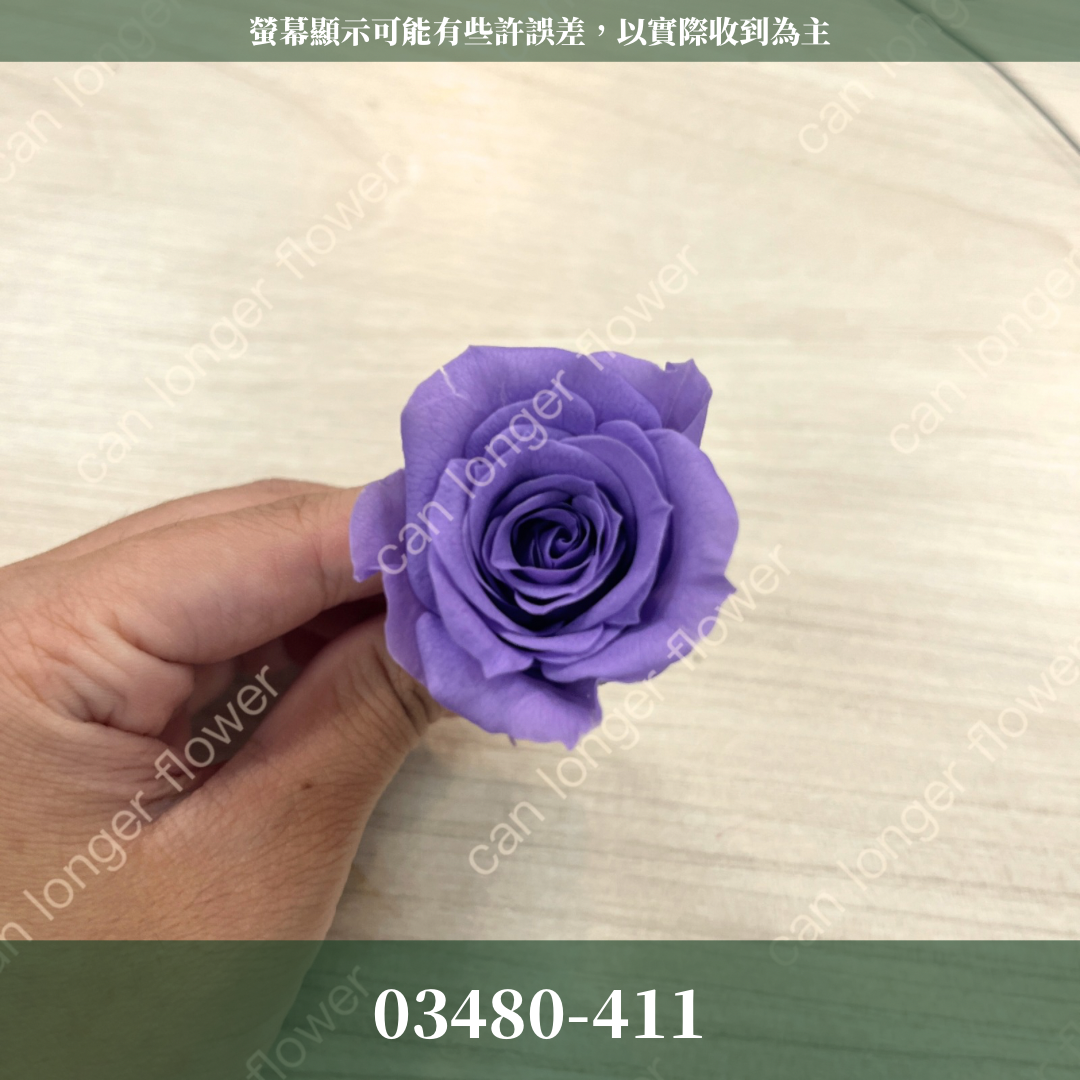 【台灣現貨】花大伯 03480 日本大地農園 中玫瑰 9朵裝 原裝 款式色彩齊全 永生玫瑰 不凋玫瑰