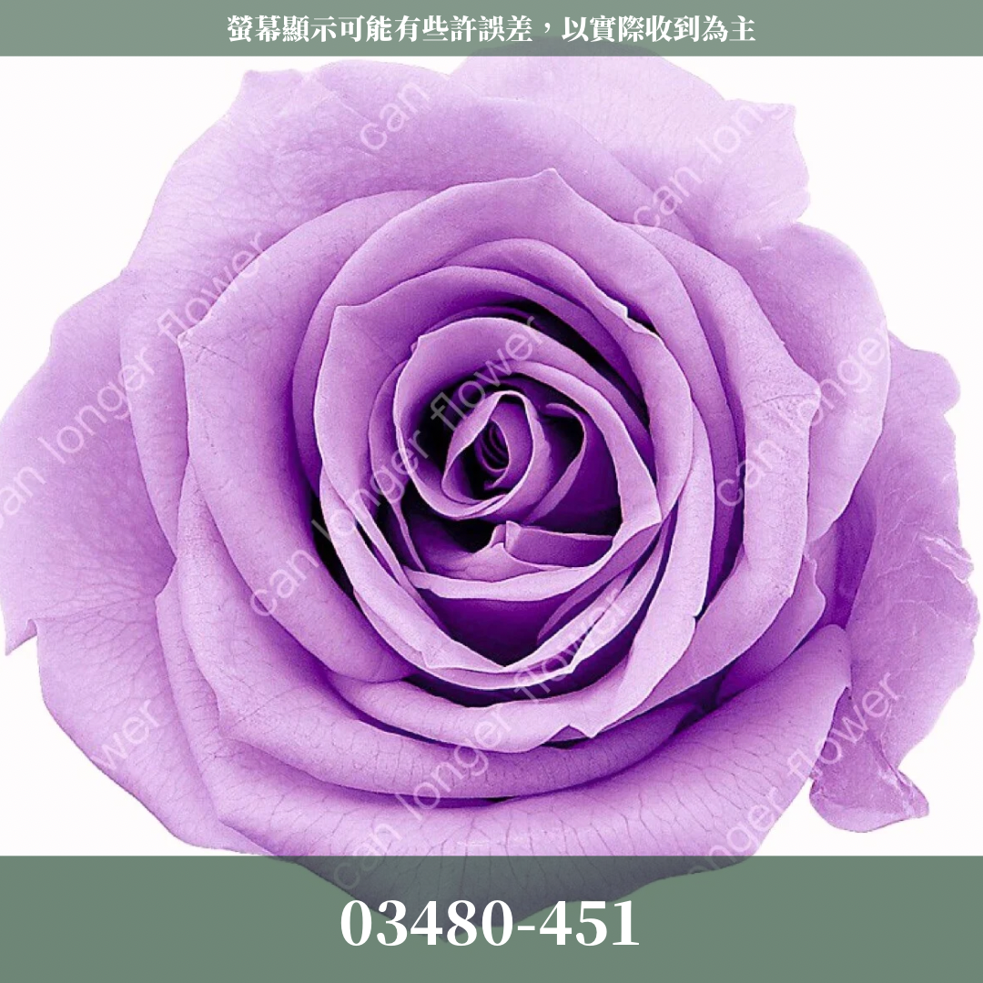 【台灣現貨】花大伯 03480 日本大地農園 中玫瑰 9朵裝 原裝 款式色彩齊全 永生玫瑰 不凋玫瑰
