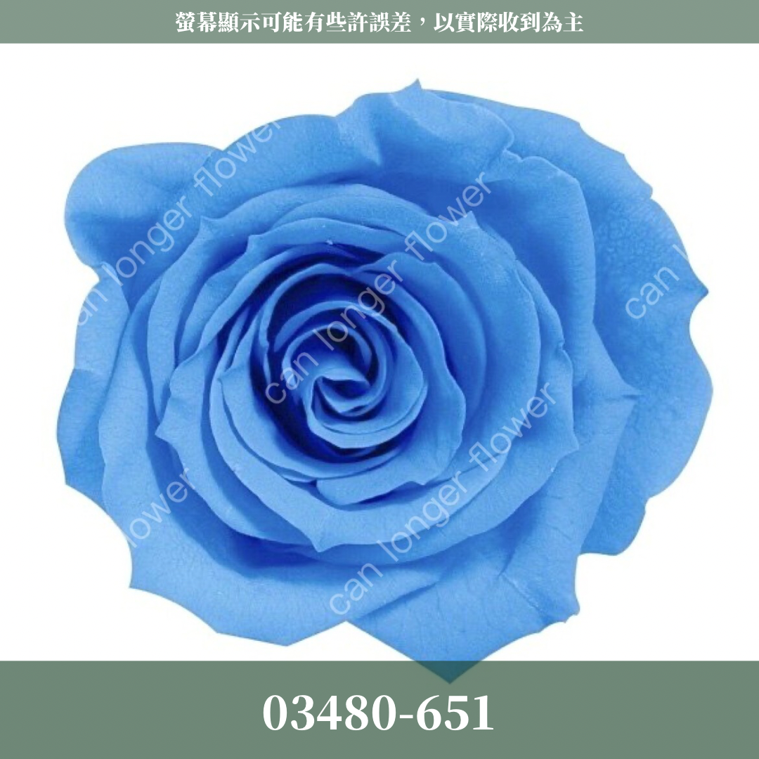【台灣現貨】花大伯 03480 日本大地農園 中玫瑰 9朵裝 原裝 款式色彩齊全 永生玫瑰 不凋玫瑰