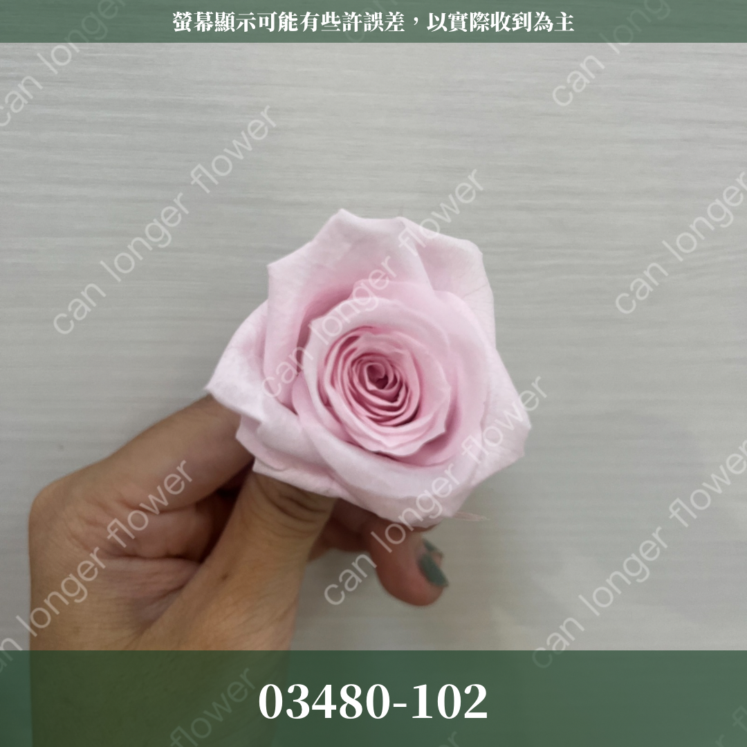 【台灣現貨】花大伯 03480 日本大地農園 中玫瑰 9朵裝 原裝 款式色彩齊全 永生玫瑰 不凋玫瑰