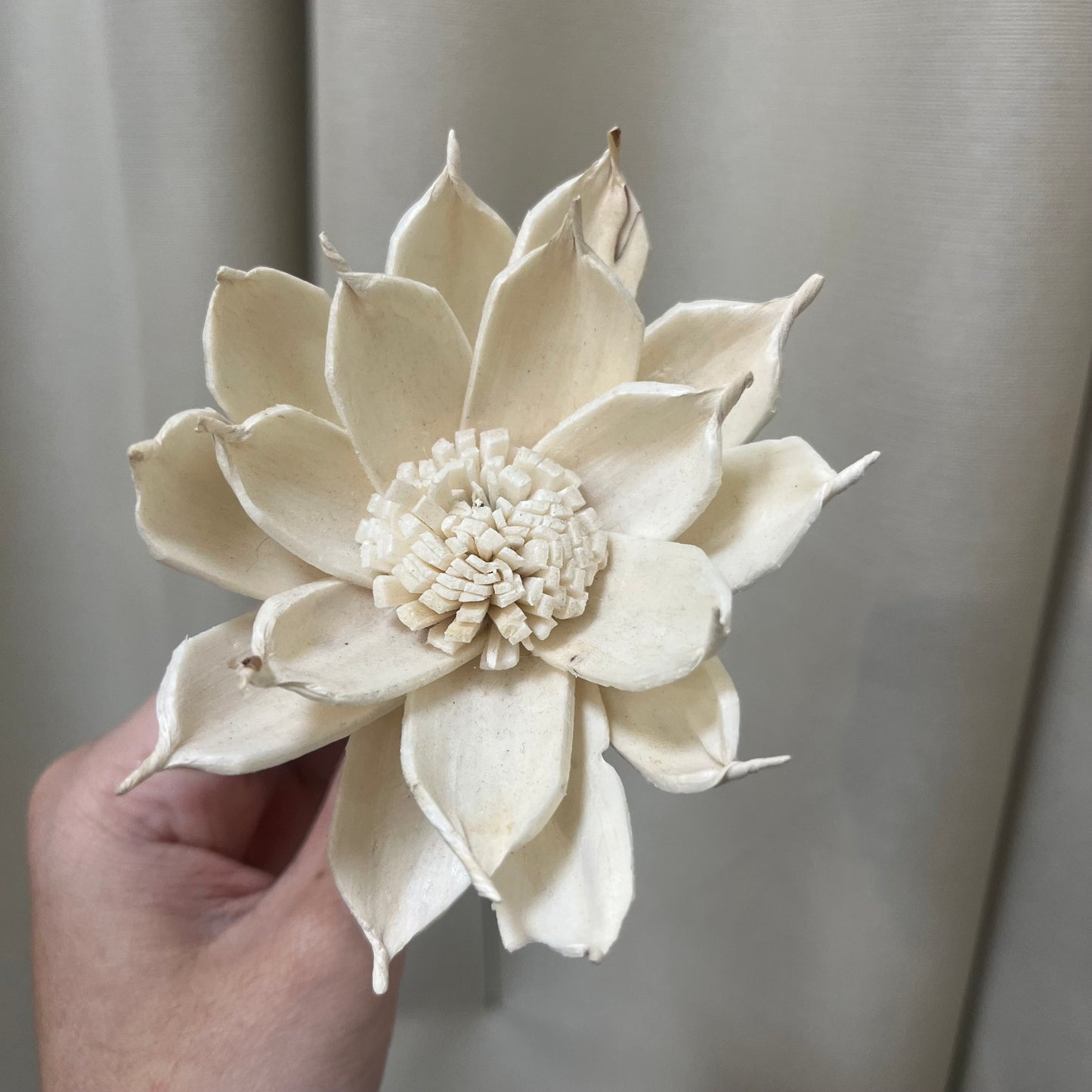✿ 台灣現貨 ✿ S-N索拉花 8CM 通草花 擴香花 梔子花