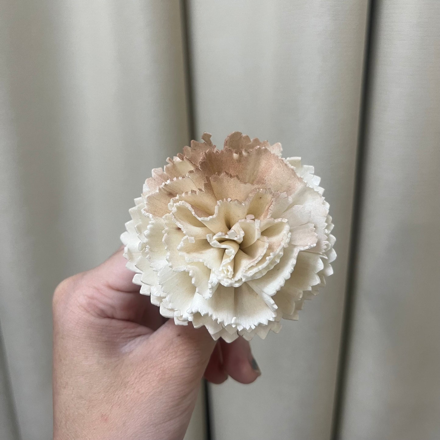 ✿ 台灣現貨 ✿ S-AF 索拉花 6CM 通草花 擴香花 康乃馨 小菊