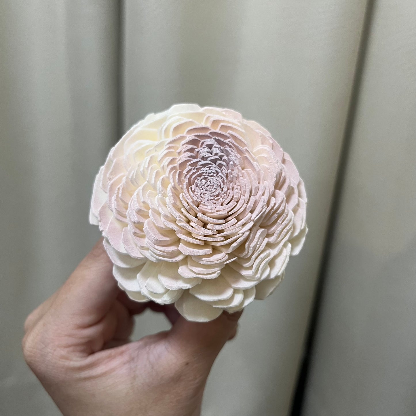 ✿ 台灣現貨 ✿ S-C 索拉花 6CM 通草花 擴香花 太陽玫瑰 日本大地 太陽菊