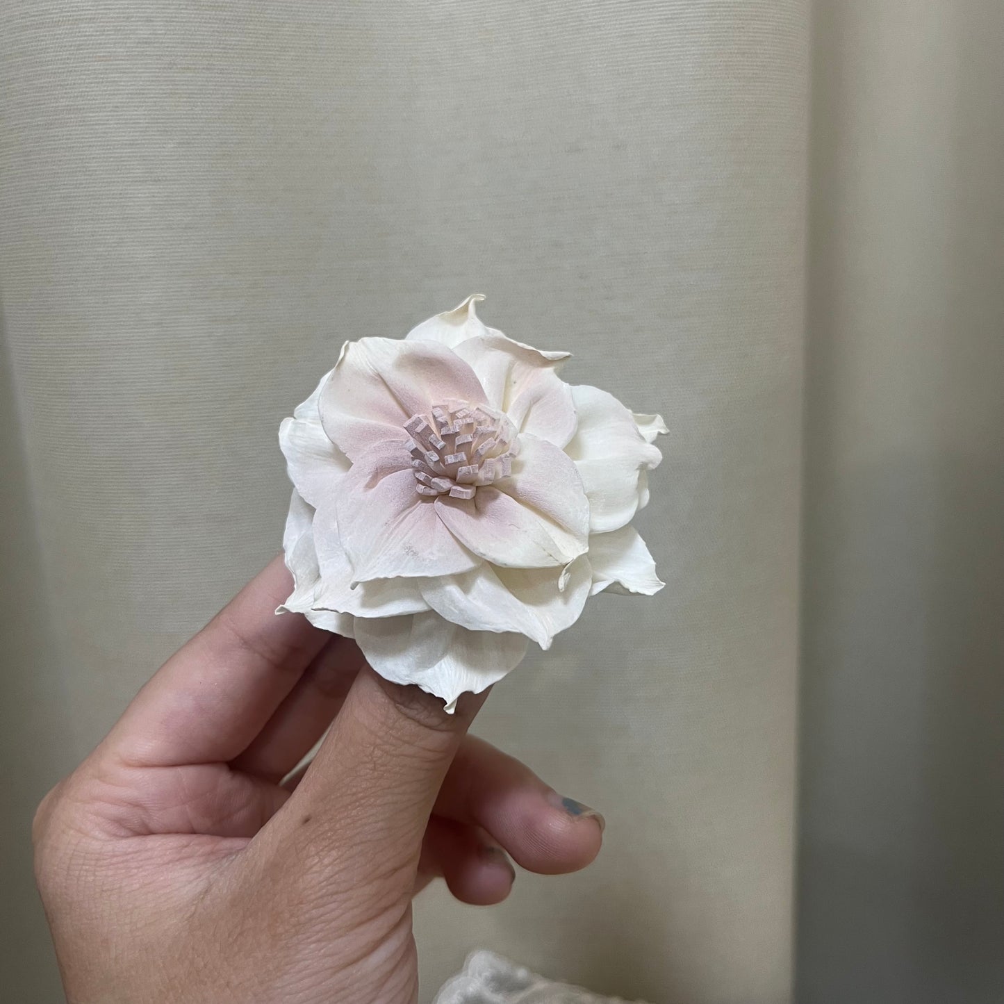 ✿ 台灣現貨 ✿ S-U 索拉花 6CM 通草花 擴香花