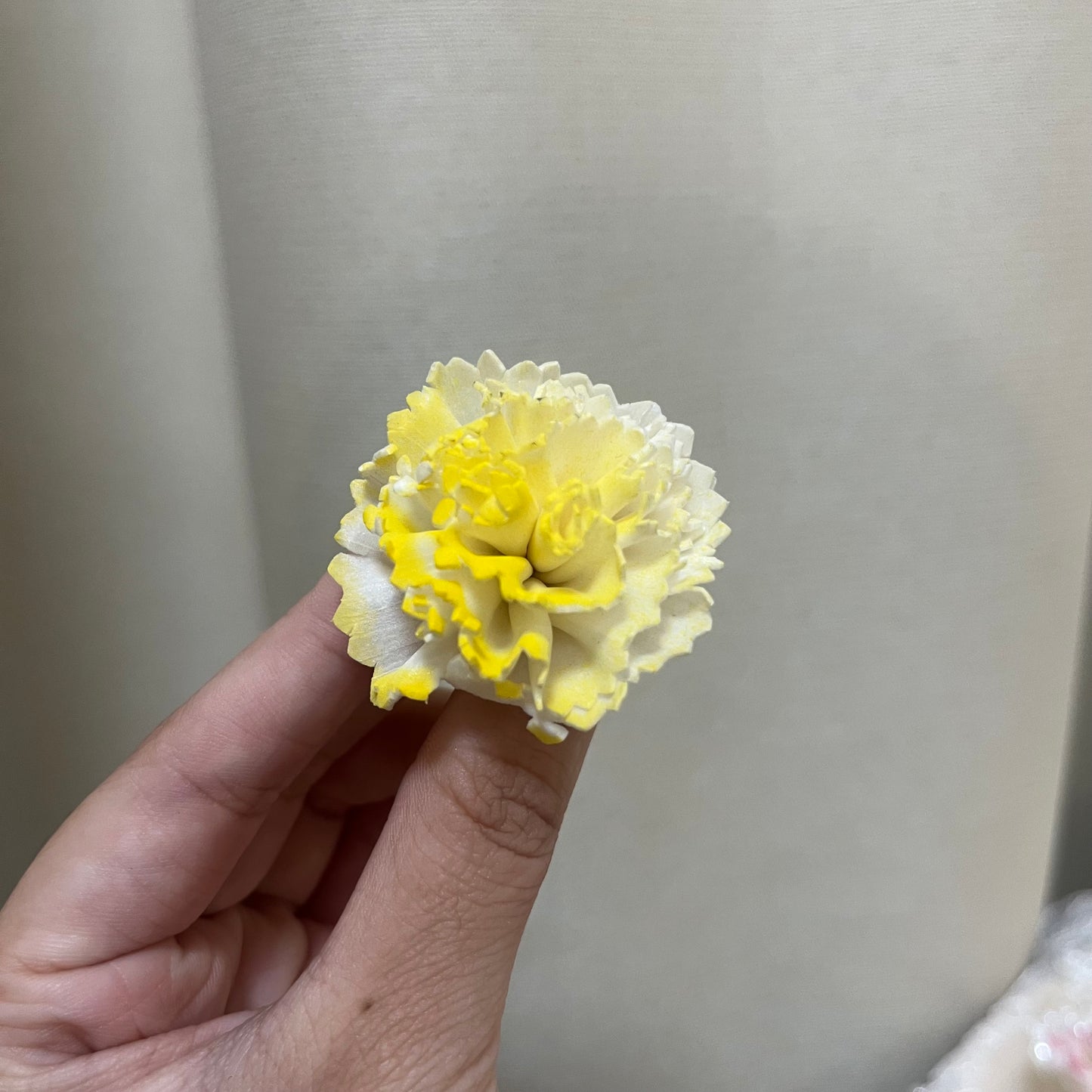 ✿ 台灣現貨 ✿ S-AE 索拉花 4CM 通草花 擴香花 康乃馨 小菊