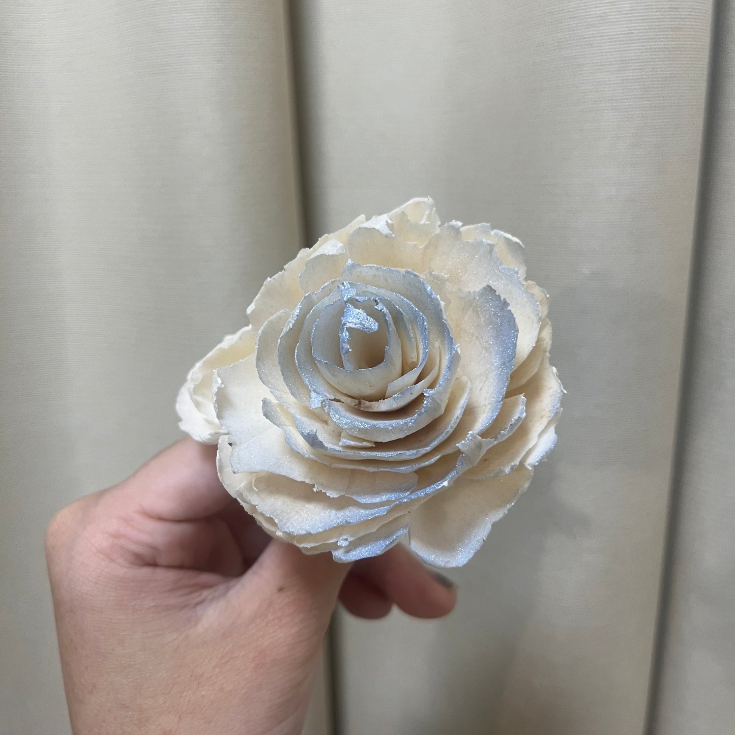 ✿ 台灣現貨 ✿ S-R 索拉花 6CM 通草花 擴香花 波斯 波斯菊 波斯玫瑰