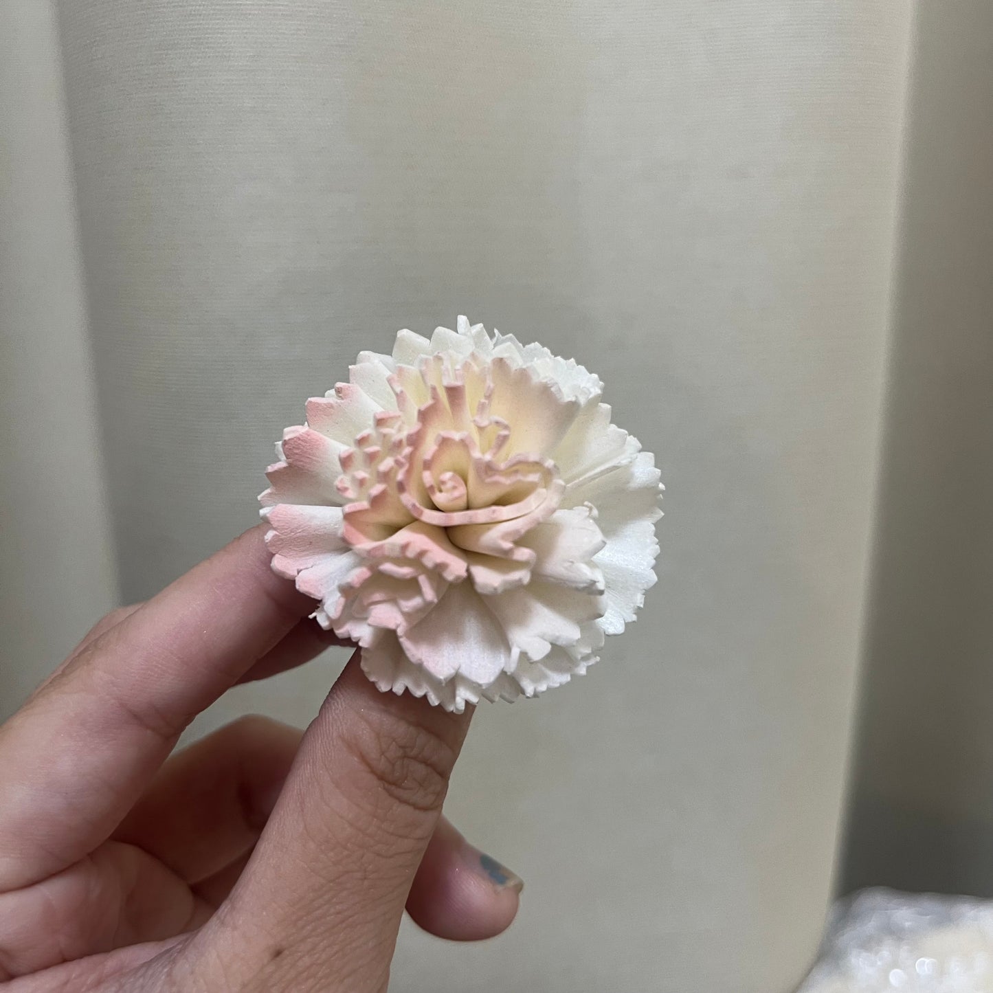 ✿ 台灣現貨 ✿ S-AE 索拉花 4CM 通草花 擴香花 康乃馨 小菊