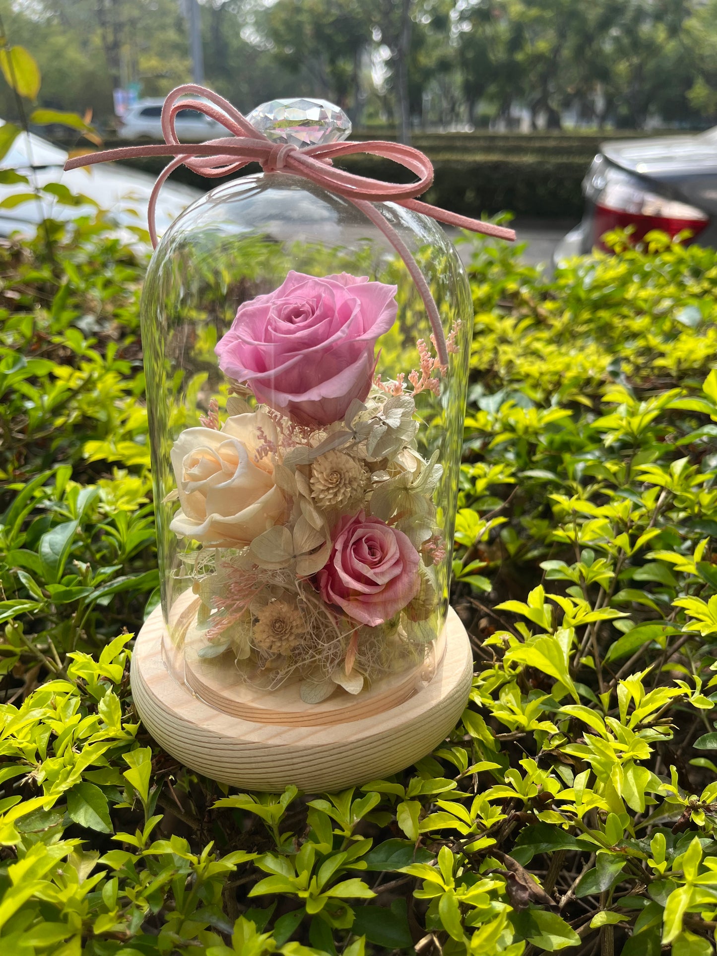 gift-g013永生花罩盅M