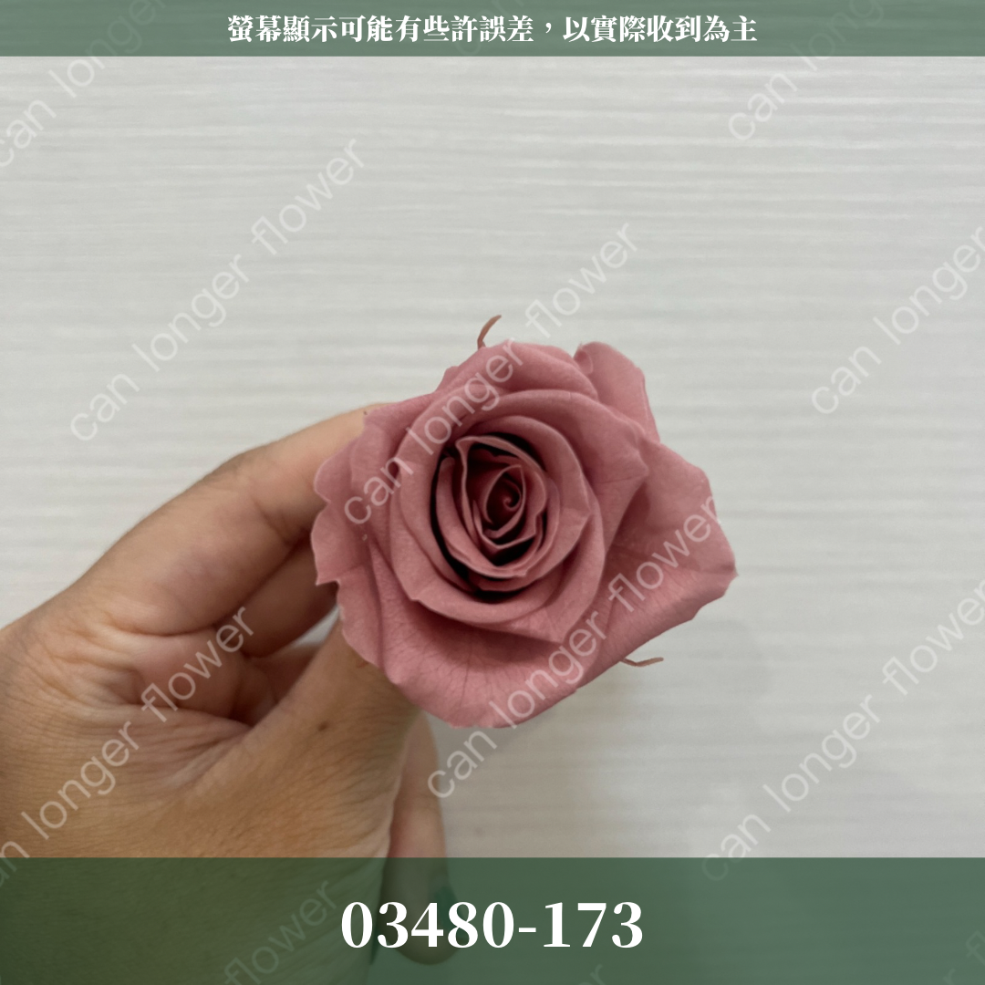 【台灣現貨】花大伯 03480 日本大地農園 中玫瑰 9朵裝 原裝 款式色彩齊全 永生玫瑰 不凋玫瑰