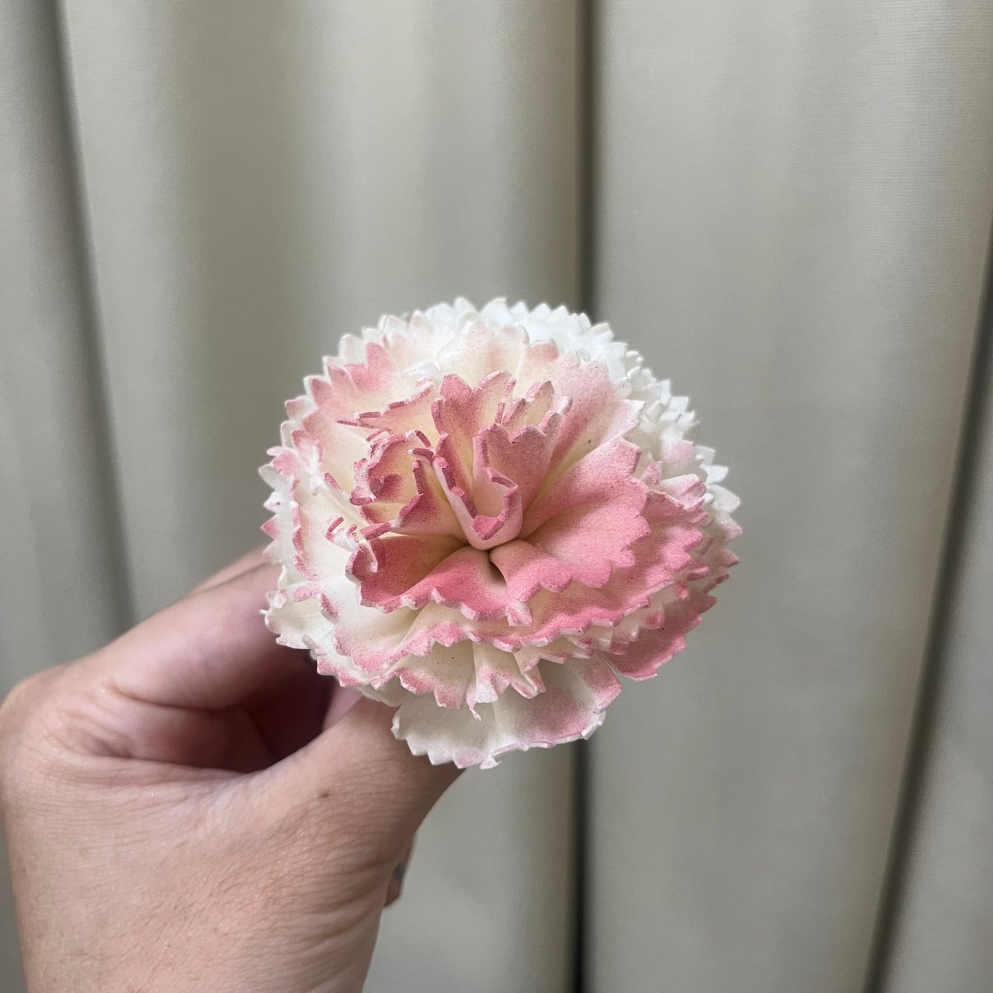 ✿ 台灣現貨 ✿ S-AF 索拉花 6CM 通草花 擴香花 康乃馨 小菊