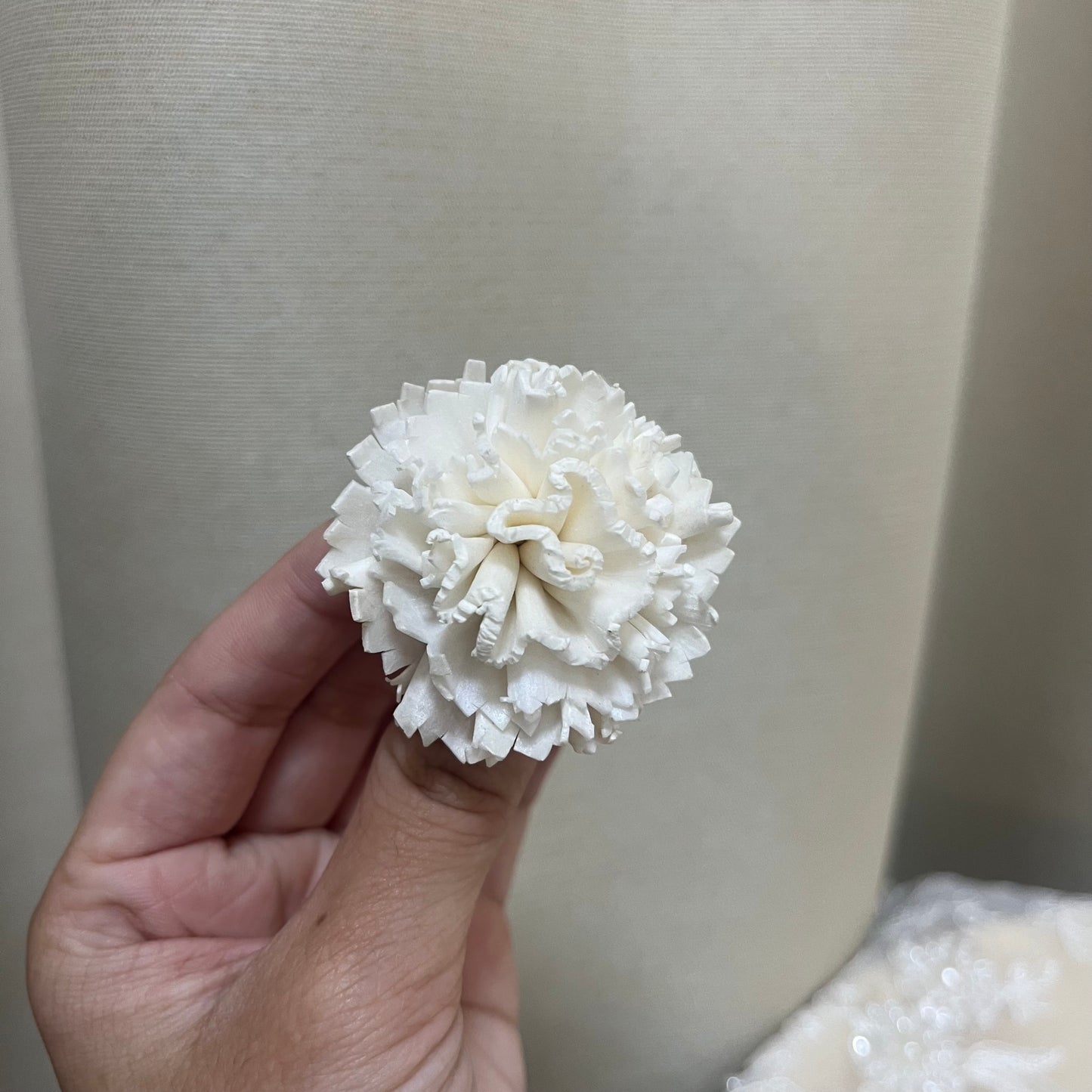 ✿ 台灣現貨 ✿ S-AE 索拉花 4CM 通草花 擴香花 康乃馨 小菊