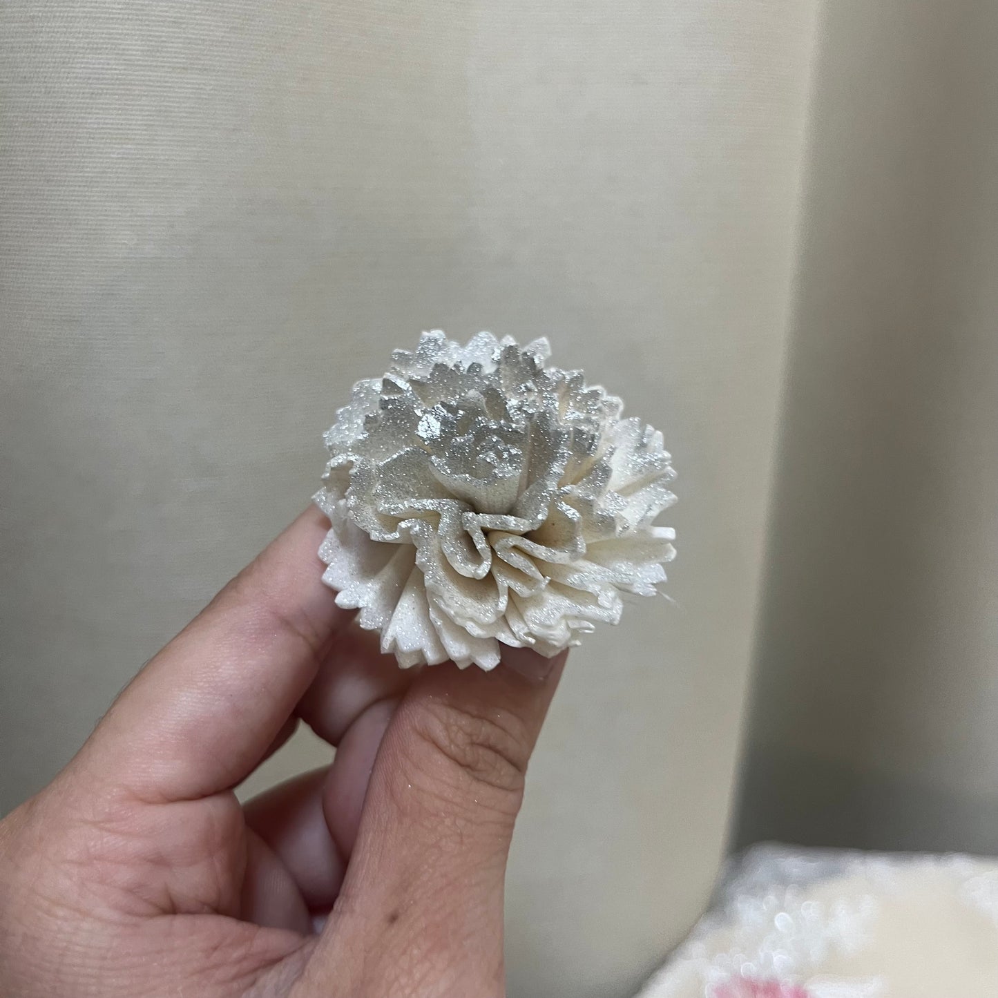 ✿ 台灣現貨 ✿ S-AE 索拉花 4CM 通草花 擴香花 康乃馨 小菊