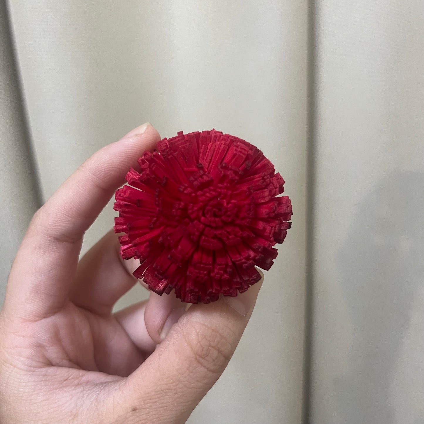 ✿ 台灣現貨 ✿ S-E 索拉花 5CM 通草花 擴香花 乒乓 乒乓球 乒乓菊 乒乓花型