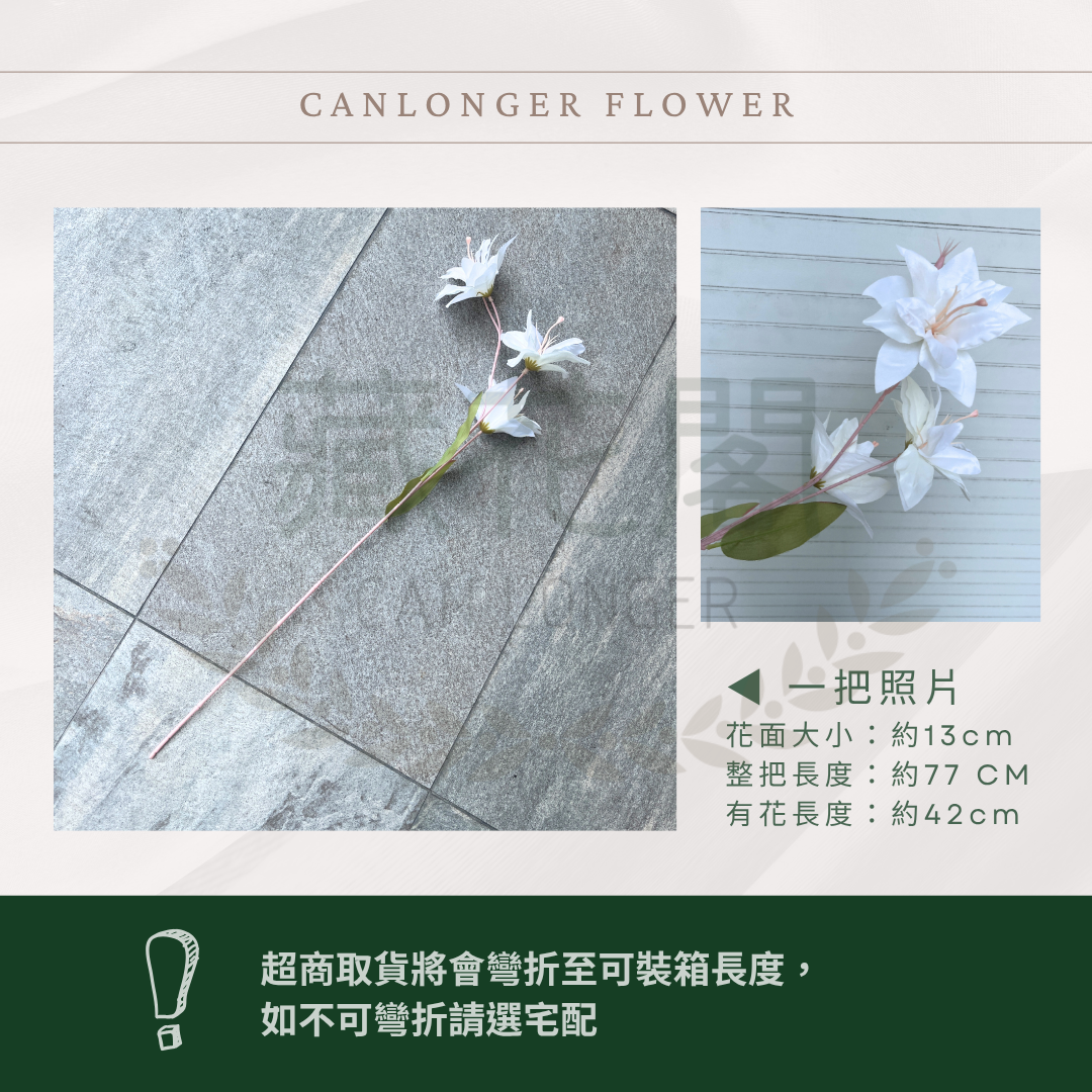 AF012 仿真小百合 3頭