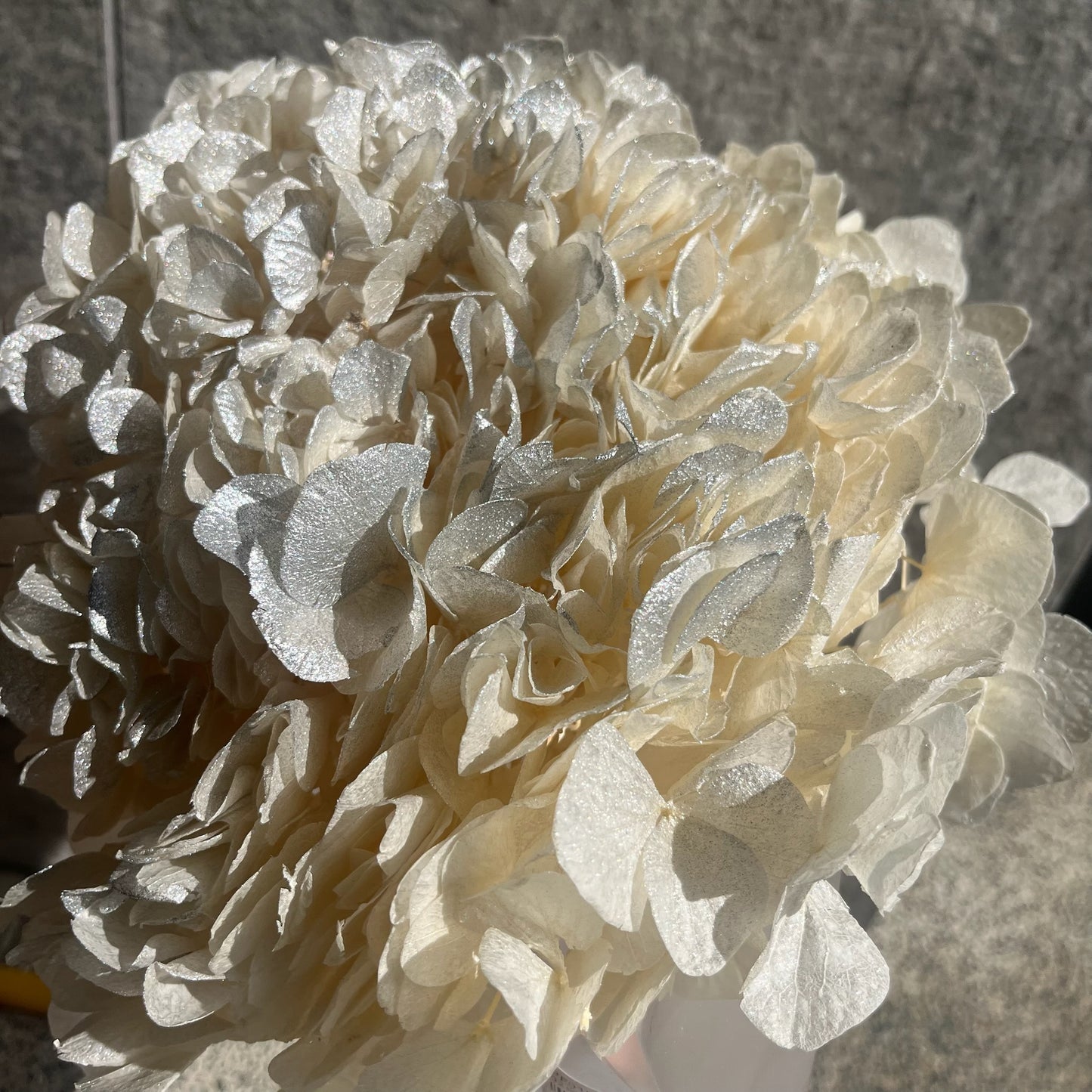 ✿ 台灣現貨 ✿ PF005BS大葉繡球(10克) 盒裝 紫陽花 夢幻漸變繡球 永生花 小份量 DIY花材 花藝