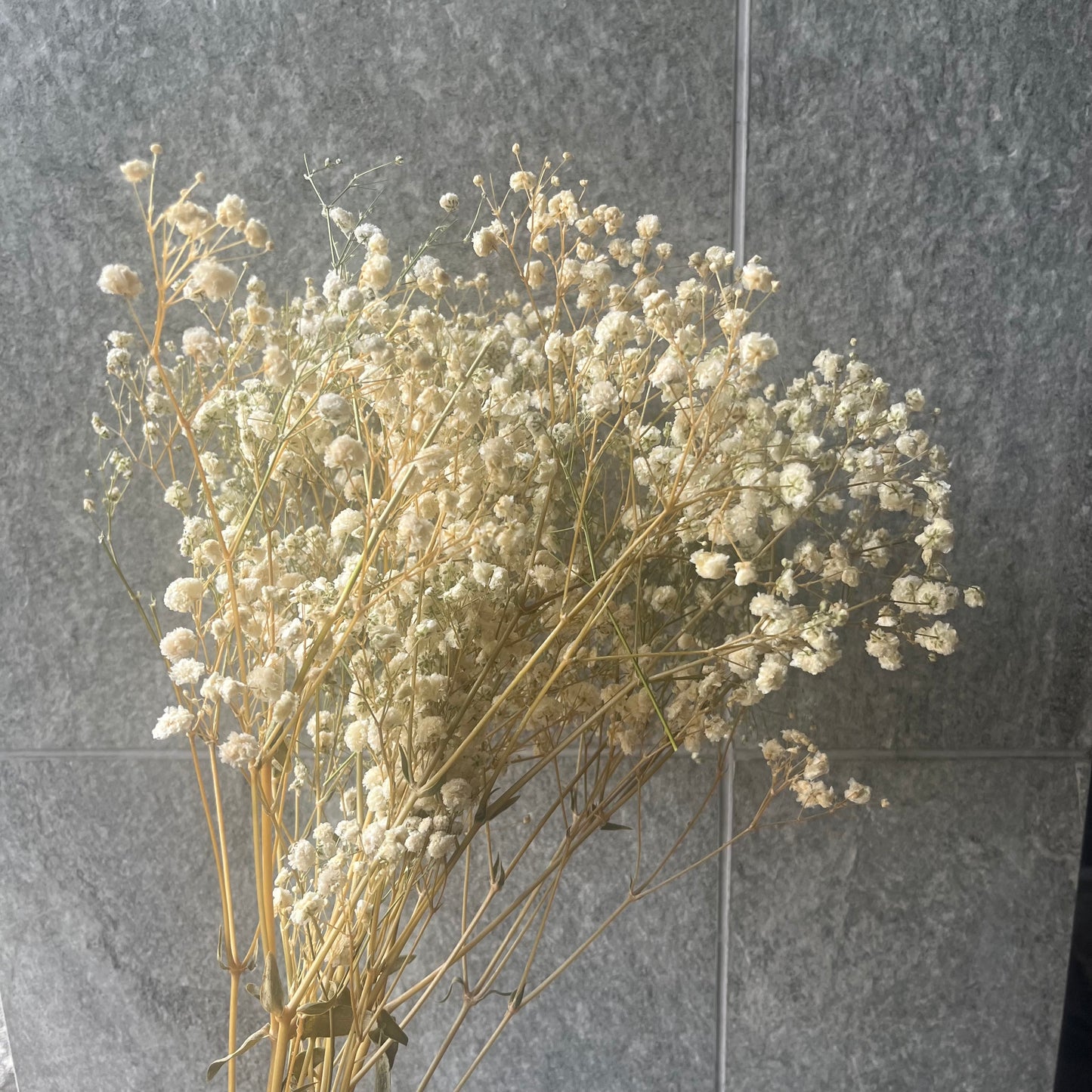 pf001S滿天星 夢幻星 永生花 小份量 捧花胸花 桌花花束 不凋花 手作DIY材料