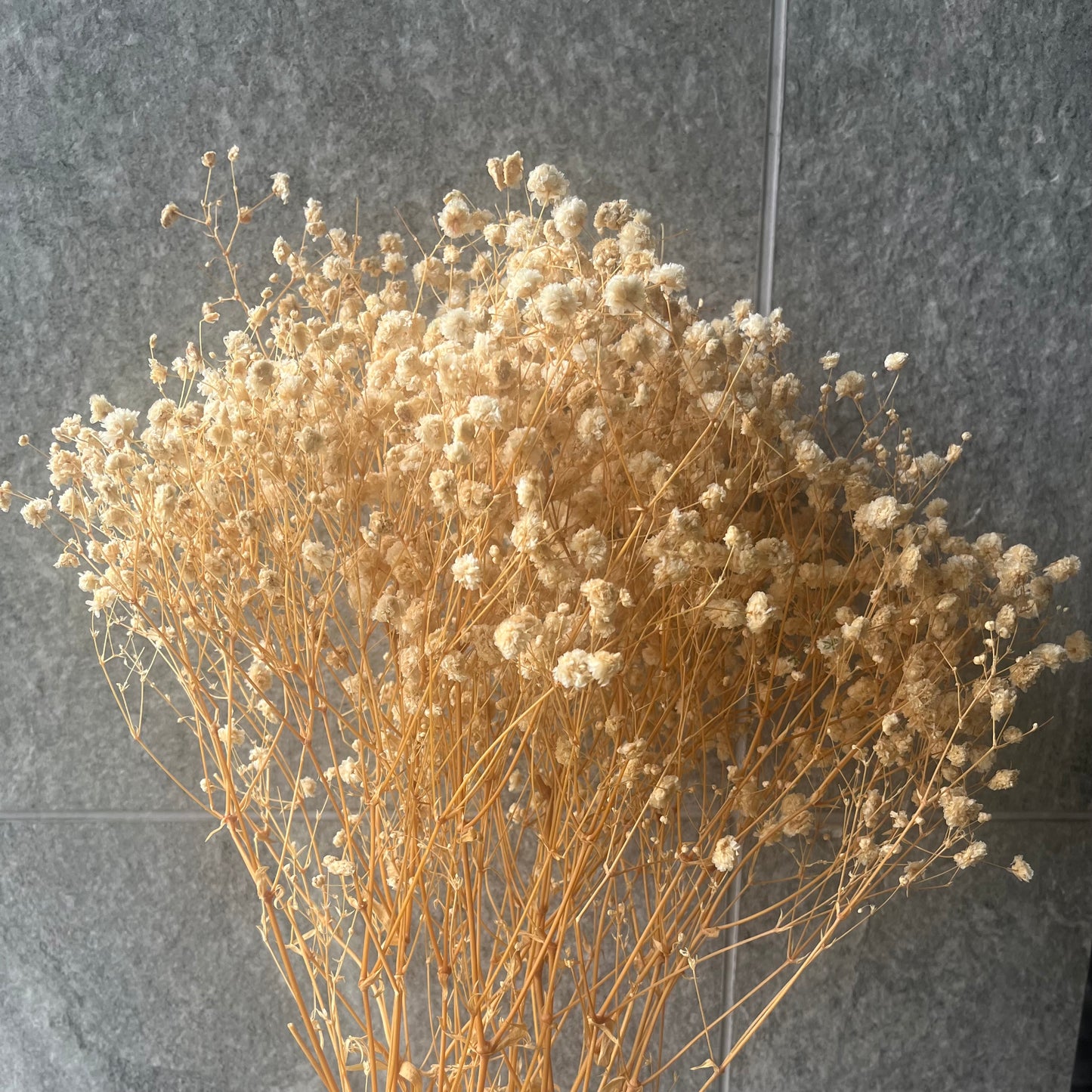 pf001S滿天星 夢幻星 永生花 小份量 捧花胸花 桌花花束 不凋花 手作DIY材料