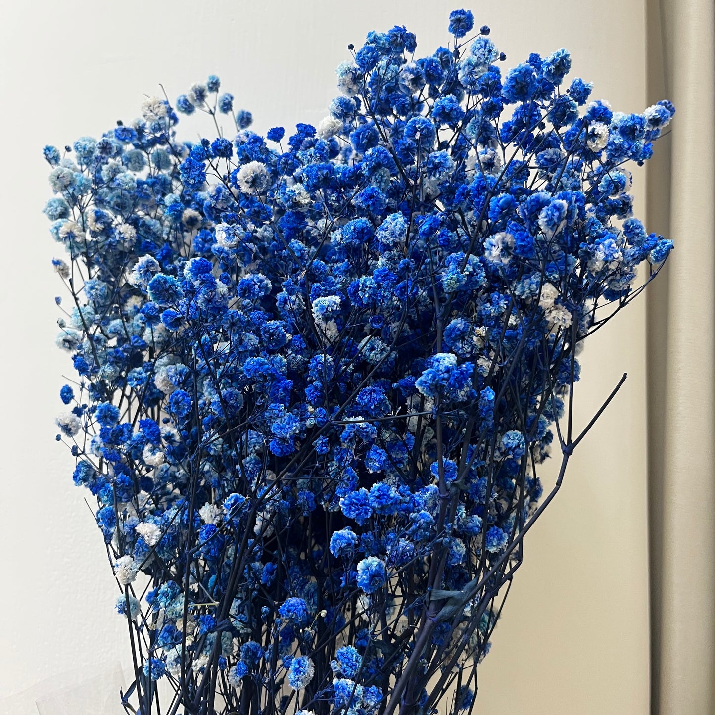 pf001S滿天星 夢幻星 永生花 小份量 捧花胸花 桌花花束 不凋花 手作DIY材料