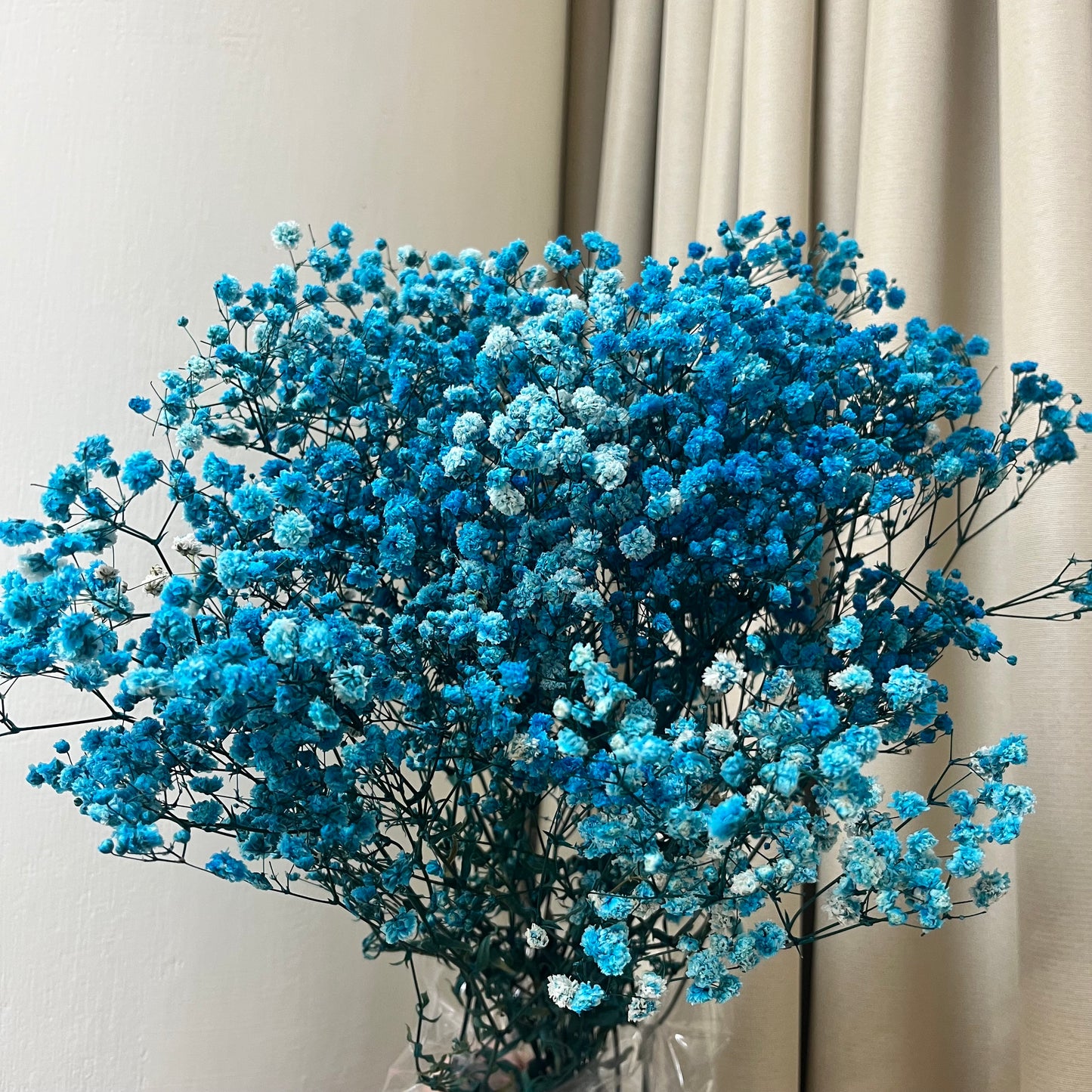 pf001S滿天星 夢幻星 永生花 小份量 捧花胸花 桌花花束 不凋花 手作DIY材料