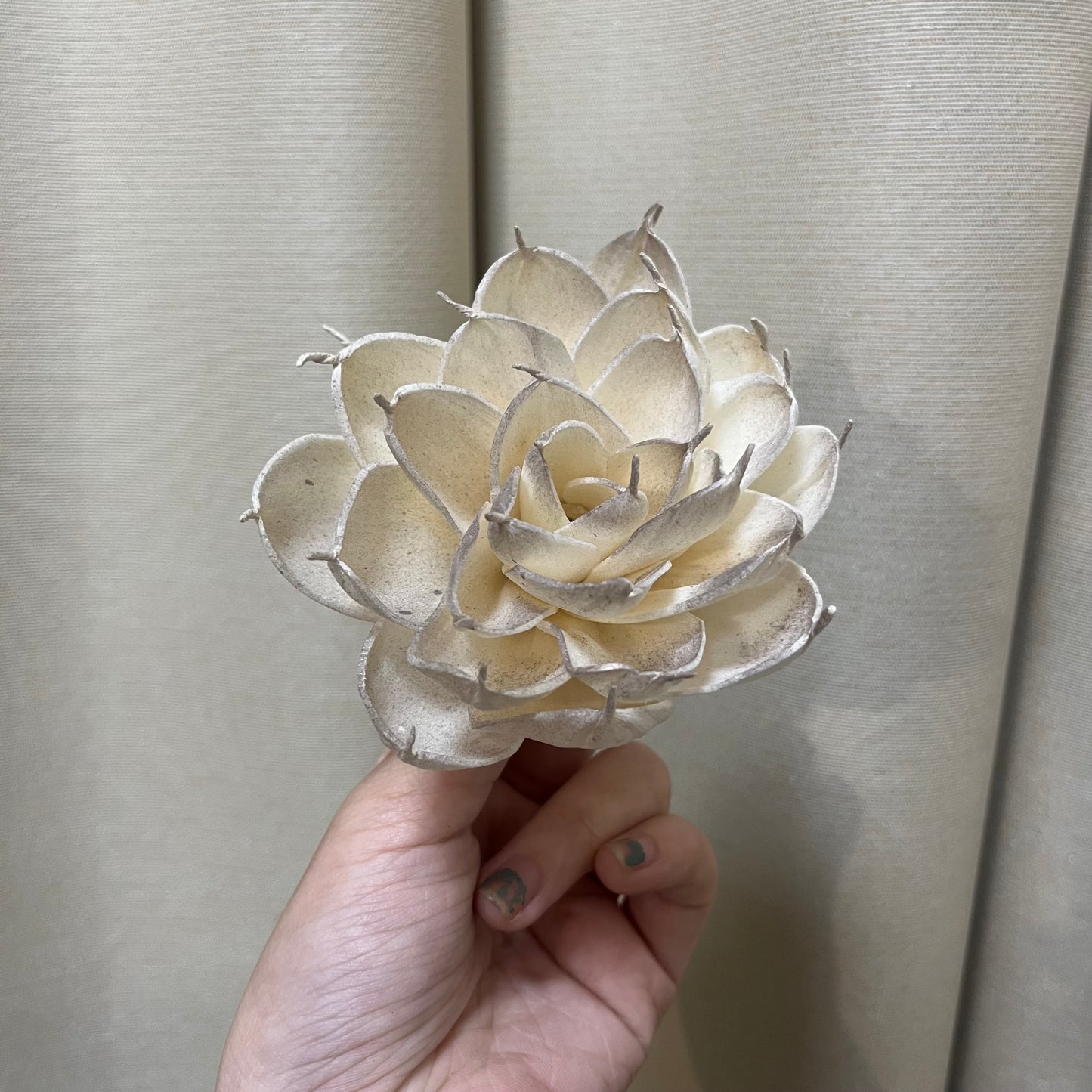 ✿ 台灣現貨 ✿ S-Q 索拉花 8CM 通草花 擴香花 白睡蓮 香水蓮