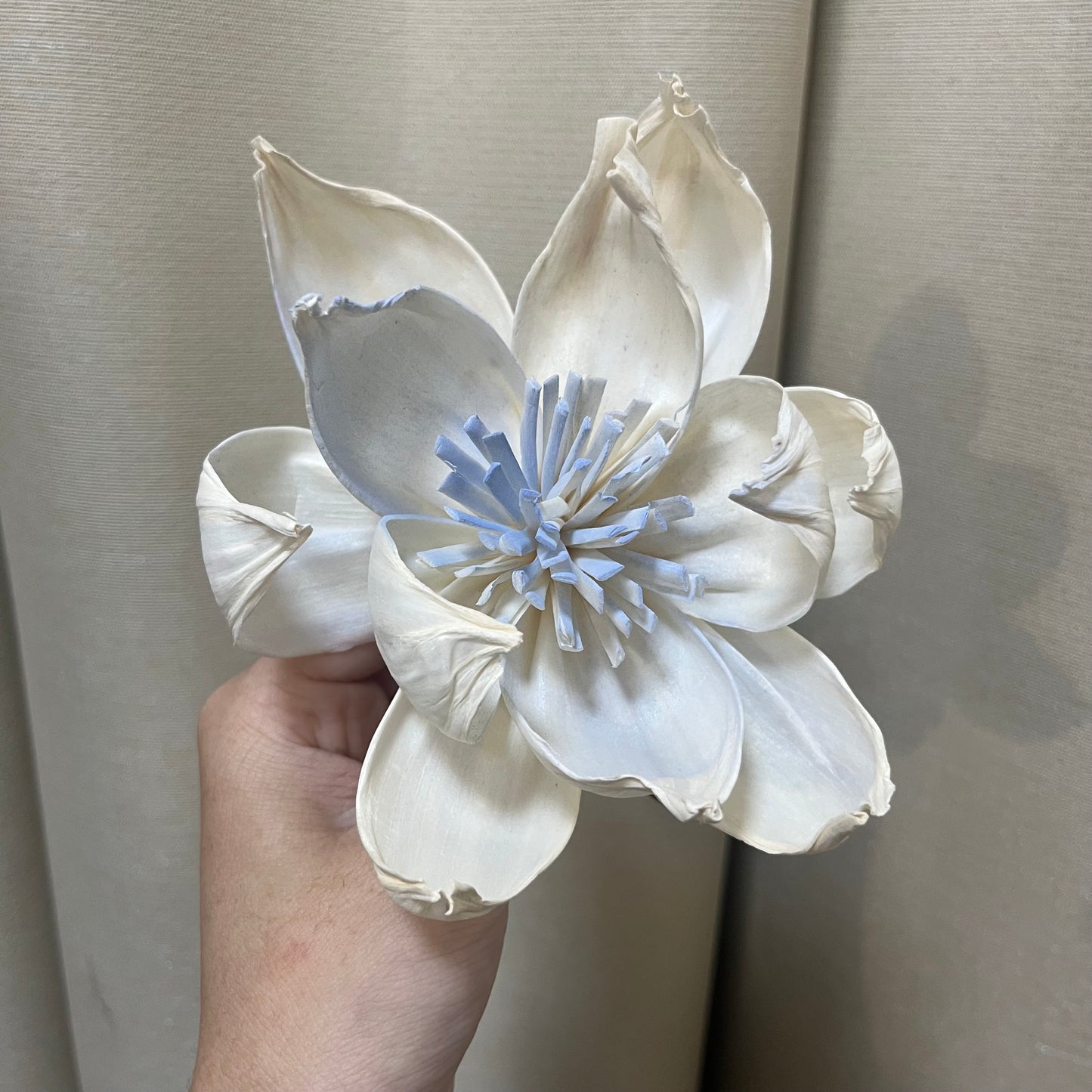 ✿ 台灣現貨 ✿ S-L索拉花 12CM 通草花 擴香花 牡丹 大牡丹