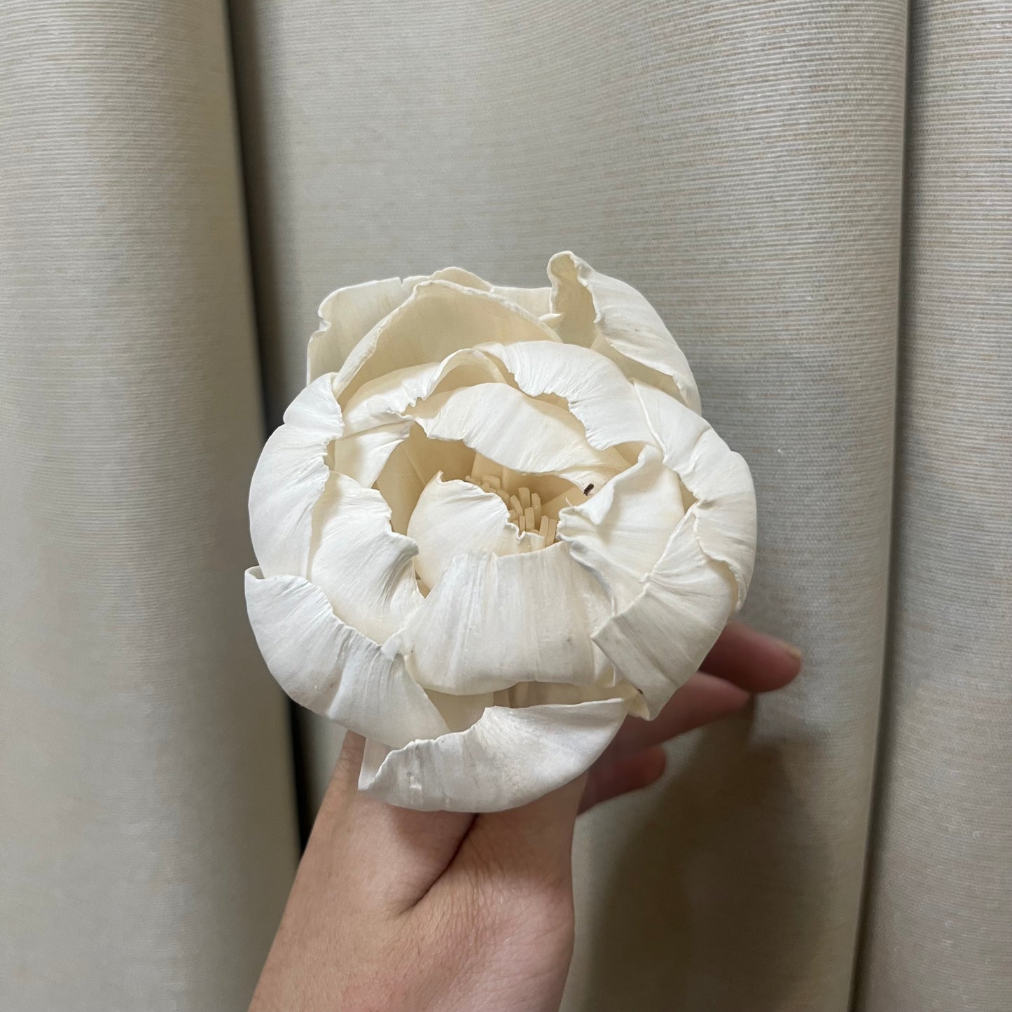 ✿ 台灣現貨 ✿ S-K索拉花 8CM 通草花 擴香花 牡丹 中牡丹