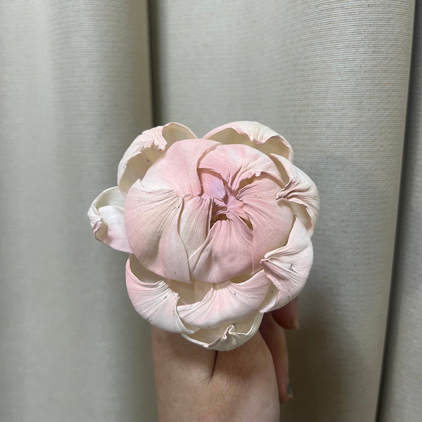 ✿ 台灣現貨 ✿ S-K索拉花 8CM 通草花 擴香花 牡丹 中牡丹