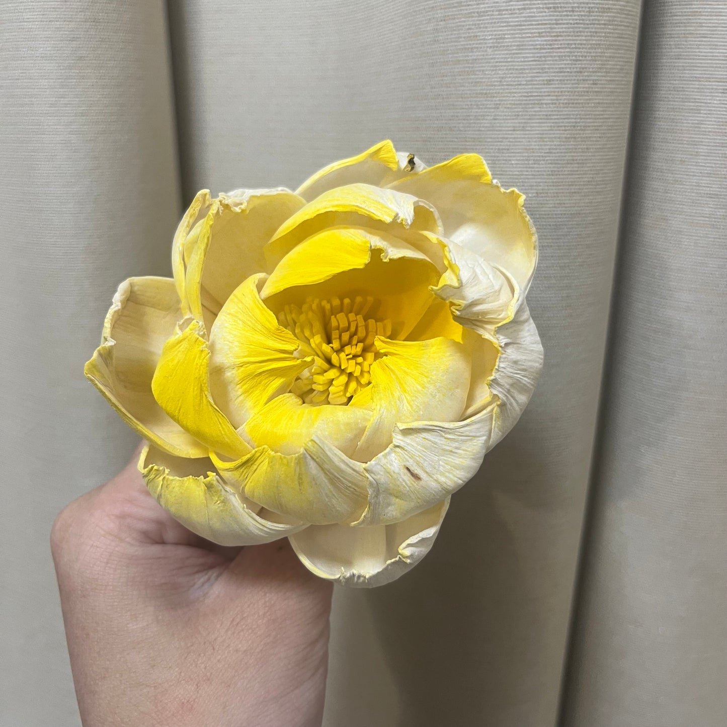 ✿ 台灣現貨 ✿ S-K索拉花 8CM 通草花 擴香花 牡丹 中牡丹