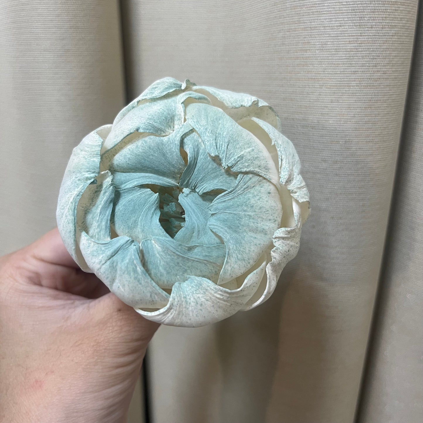 ✿ 台灣現貨 ✿ S-K索拉花 8CM 通草花 擴香花 牡丹 中牡丹