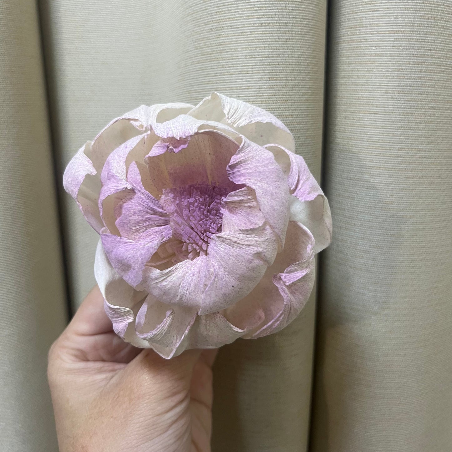 ✿ 台灣現貨 ✿ S-K索拉花 8CM 通草花 擴香花 牡丹 中牡丹