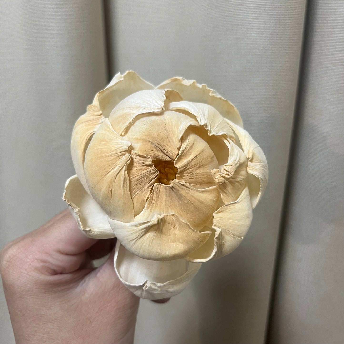 ✿ 台灣現貨 ✿ S-K索拉花 8CM 通草花 擴香花 牡丹 中牡丹